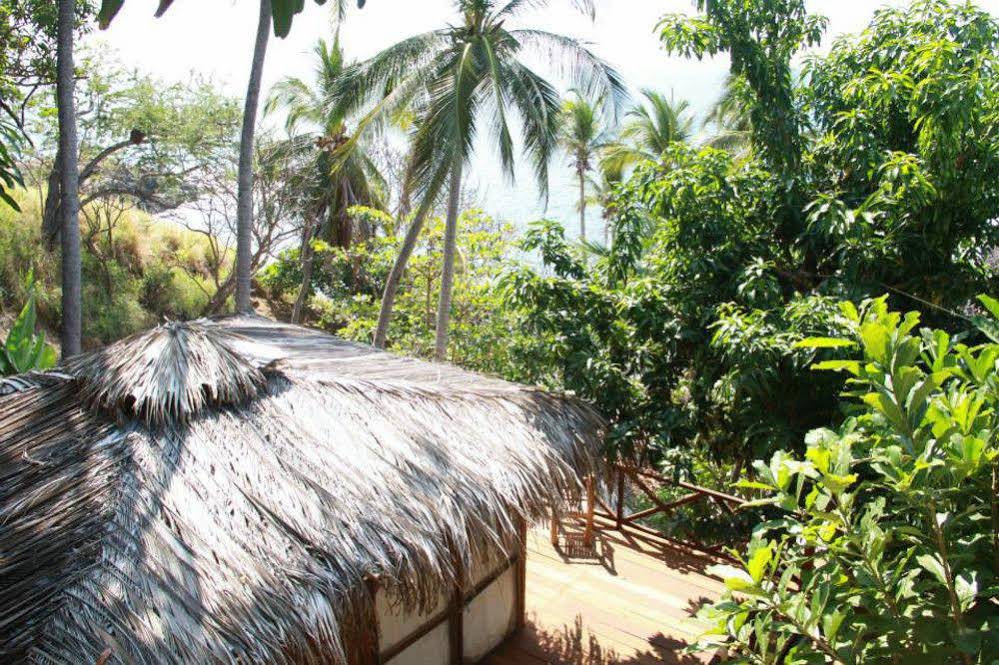 Cocos Camp