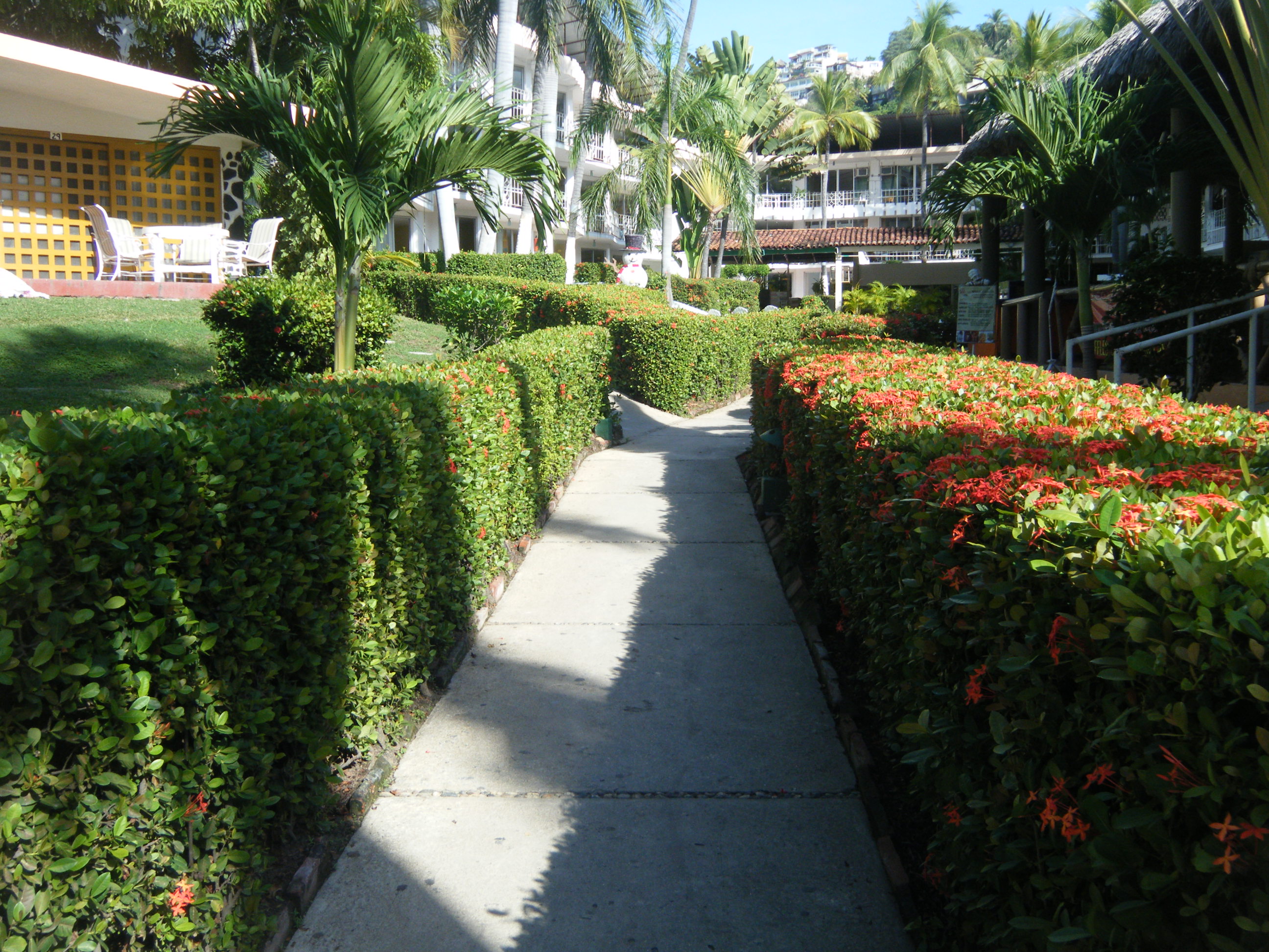 El Tropicano