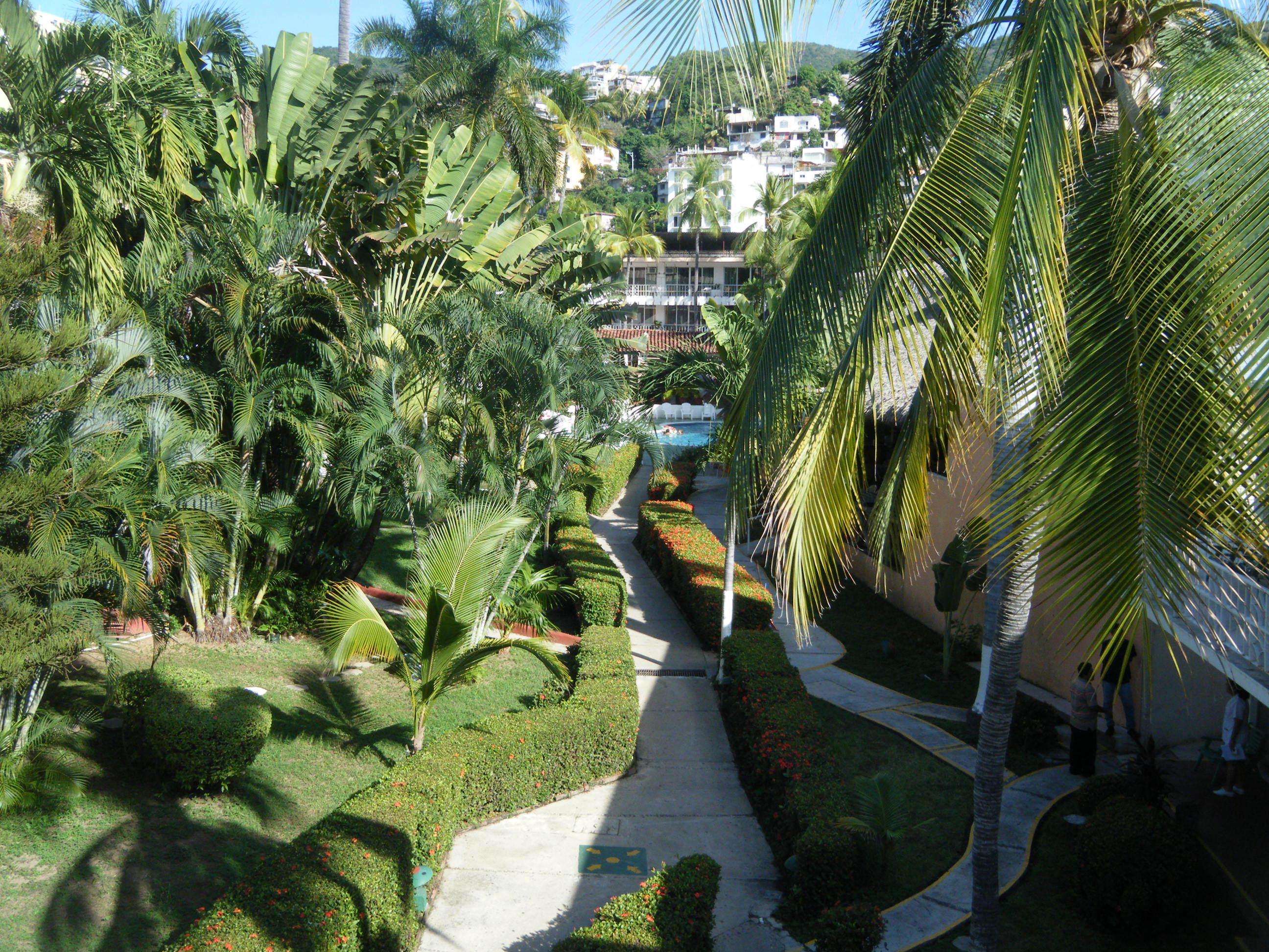 El Tropicano
