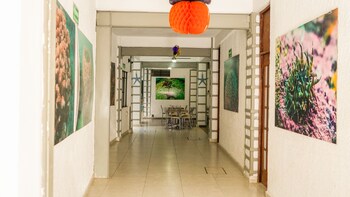 Hotel Acapulco Amor