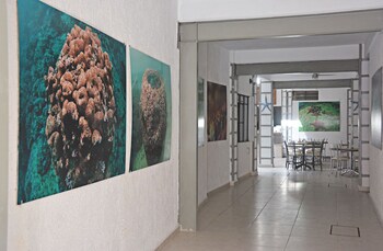 Hotel Acapulco Amor