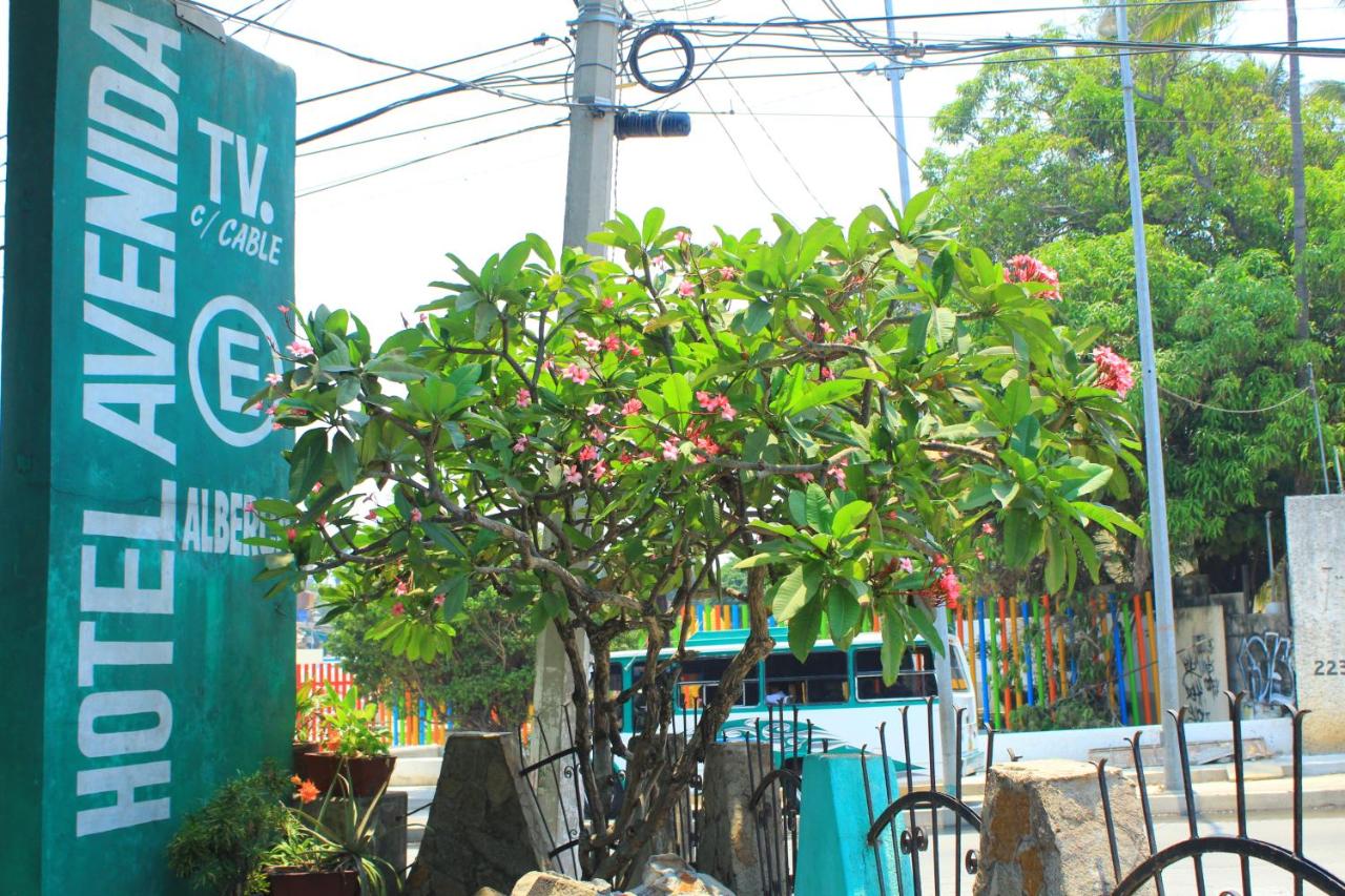 Hotel Avenida