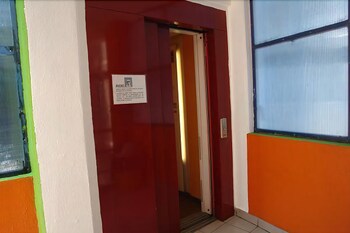Hotel La Jungla