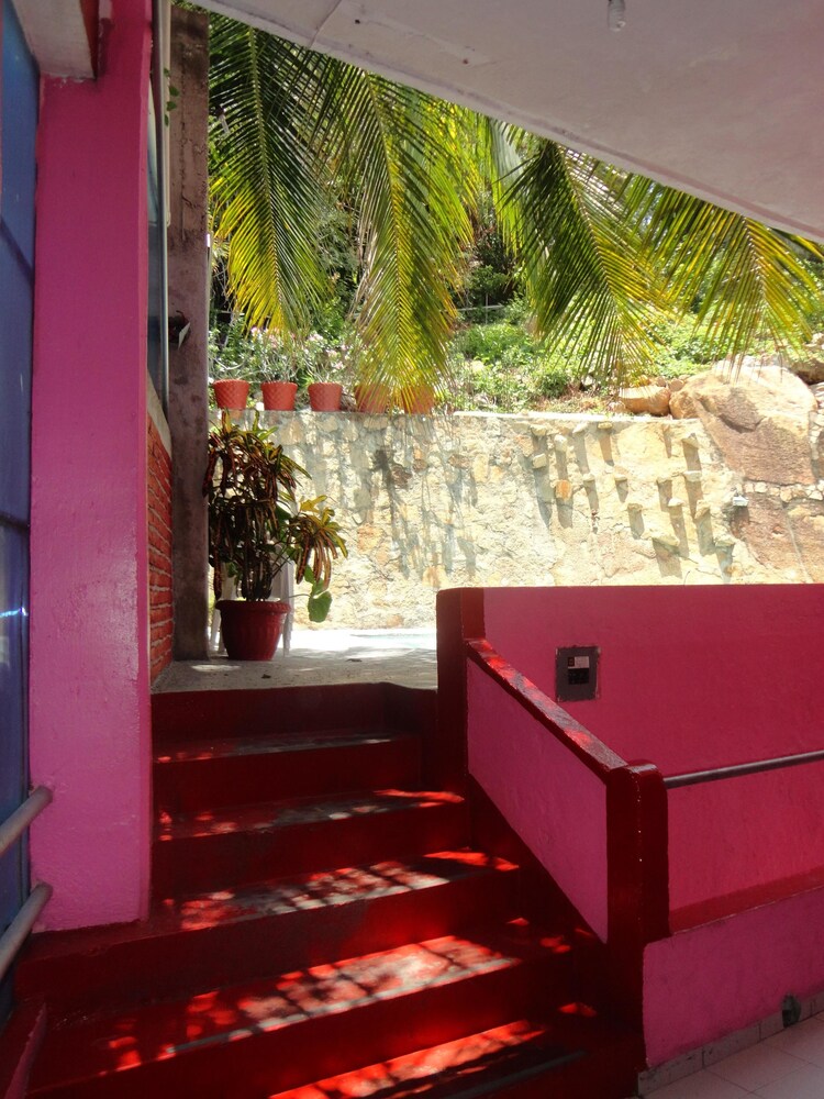 Hotel La Jungla