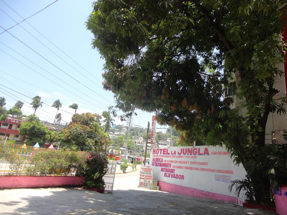 Hotel La Jungla
