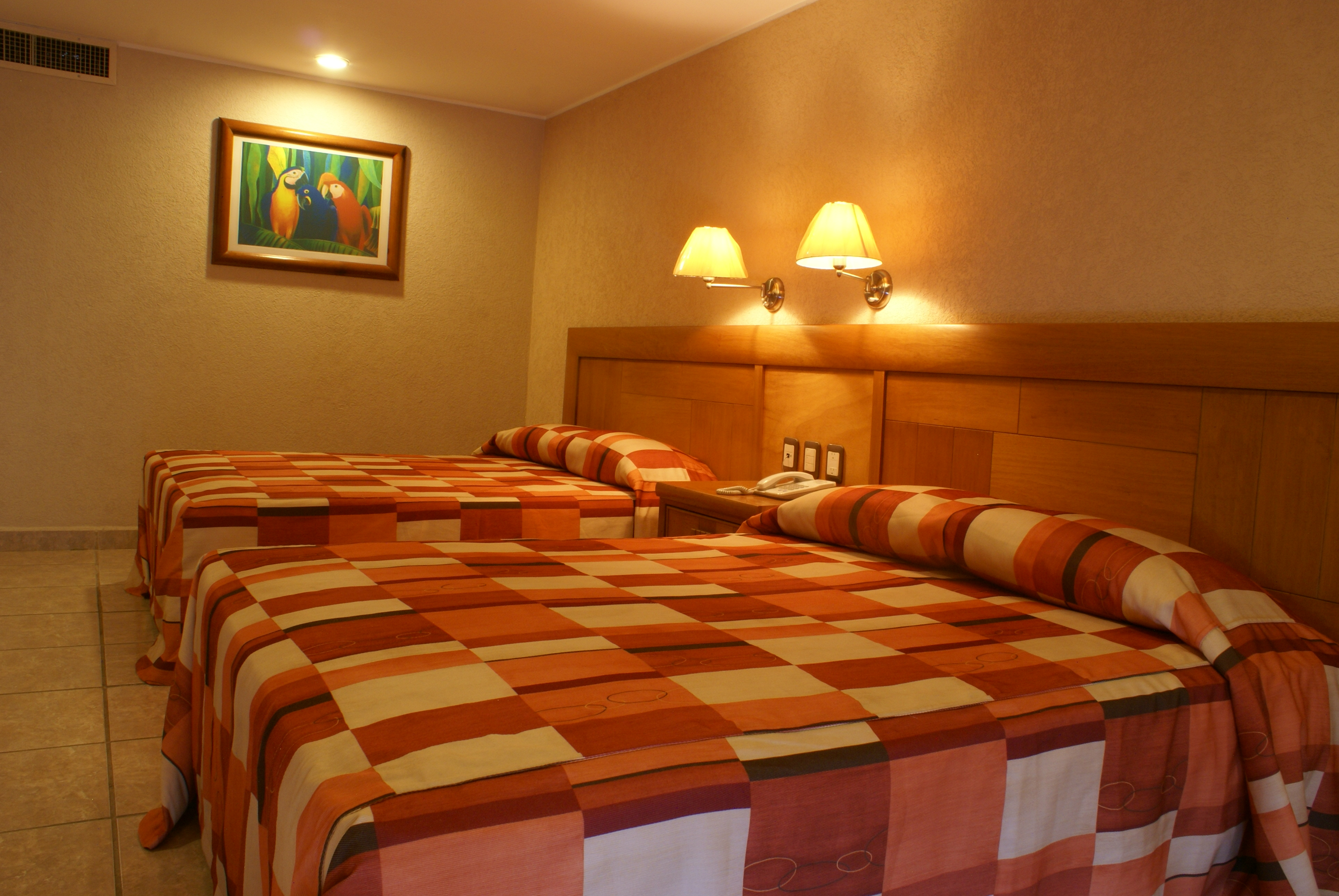 Hotel Tortuga Express