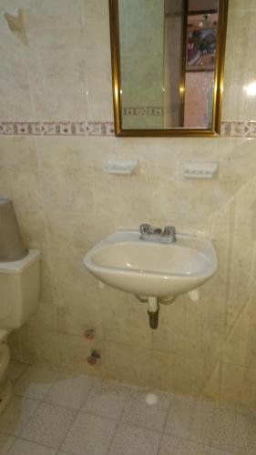 Hotel y Bungalows Olivares