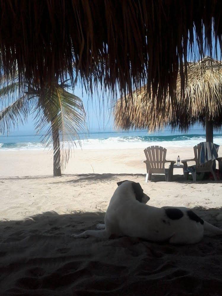 Casa Las Olas Boutique & Beach Club