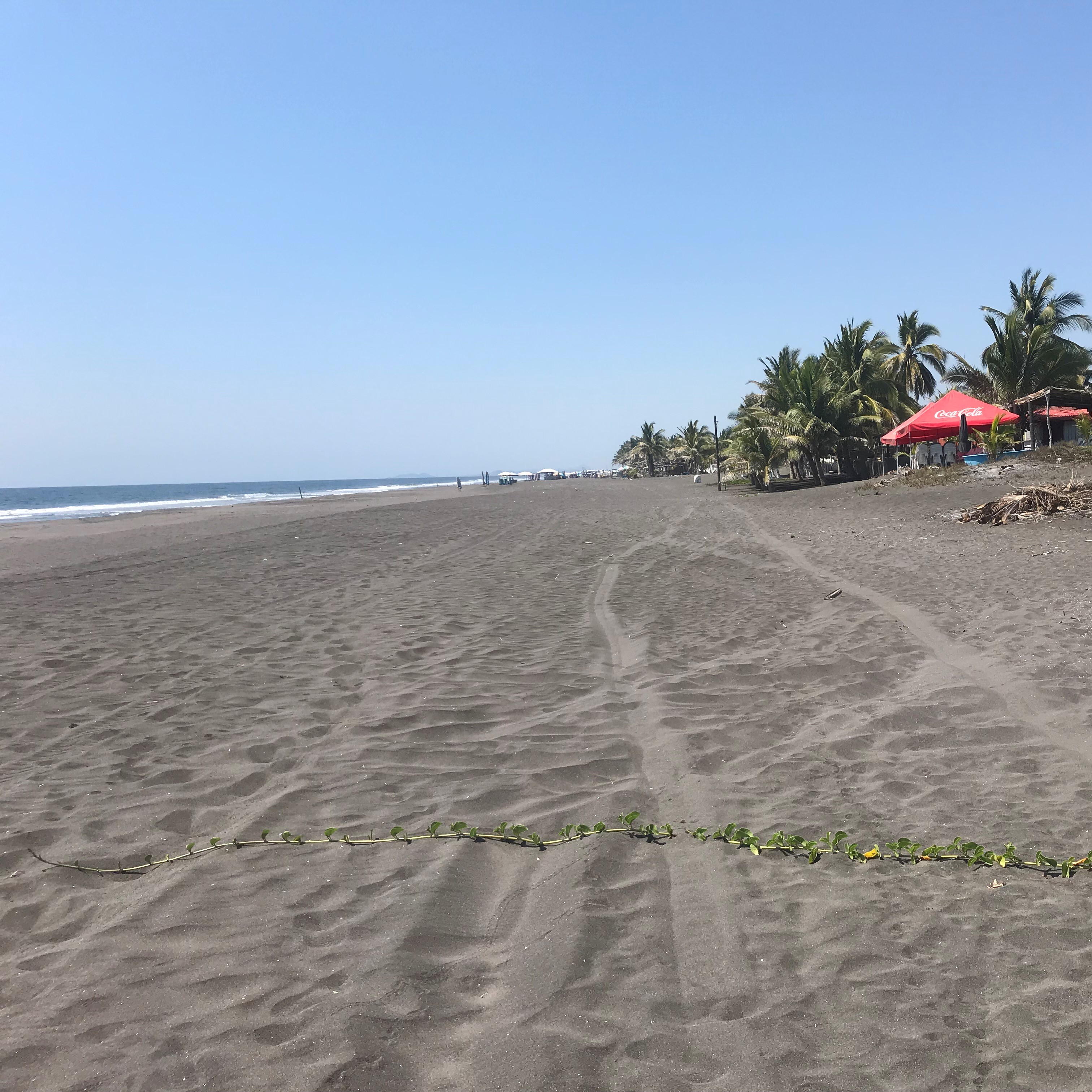 Hotel Cuyutlan Holistico