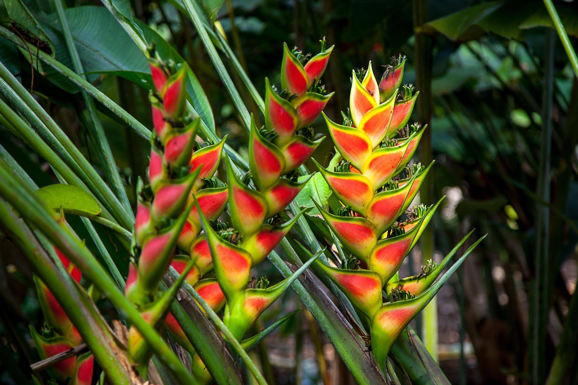 Ecohotel Boutique Casa de Agua
