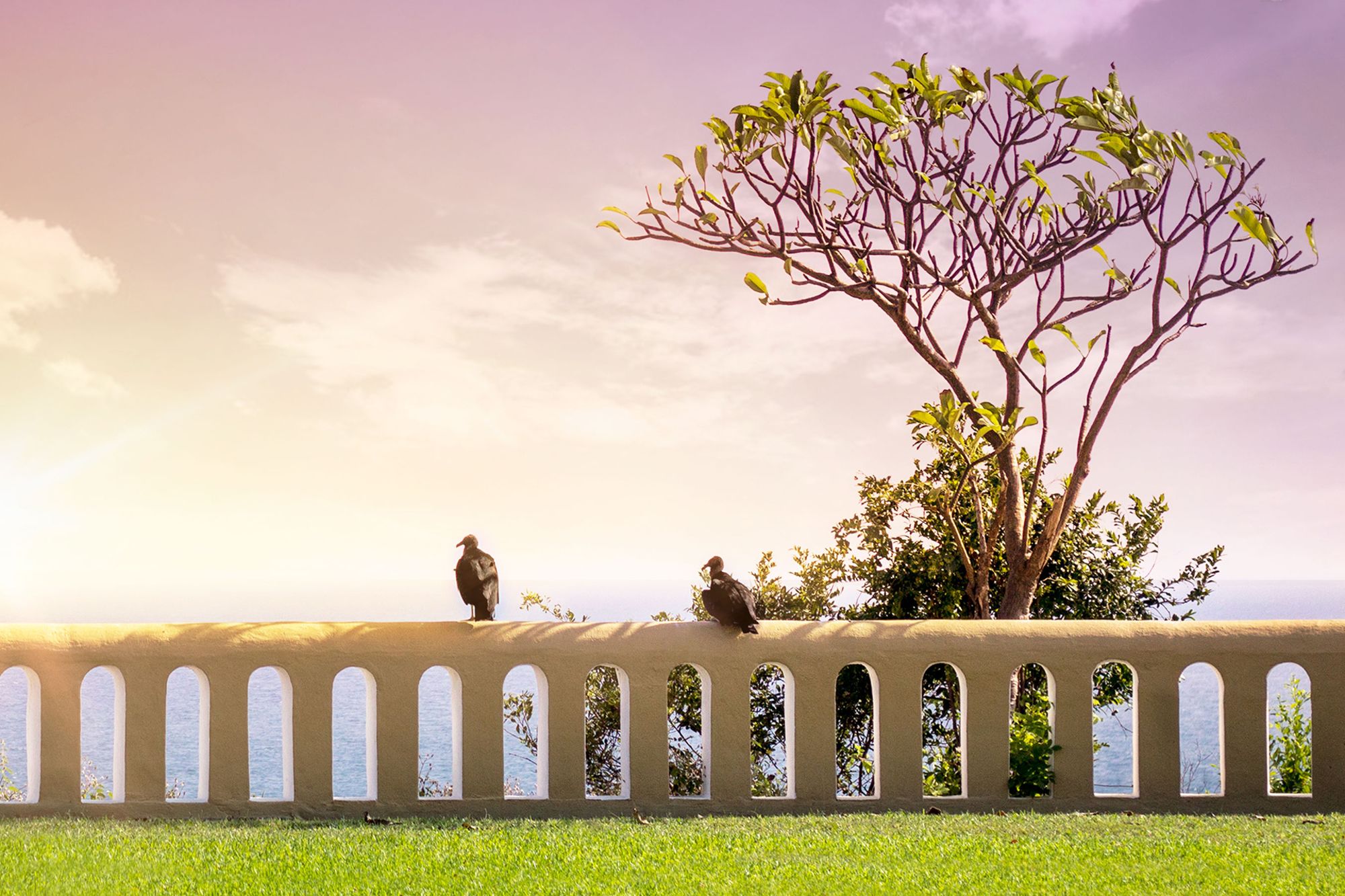 Villas Luz de Luna & Resort