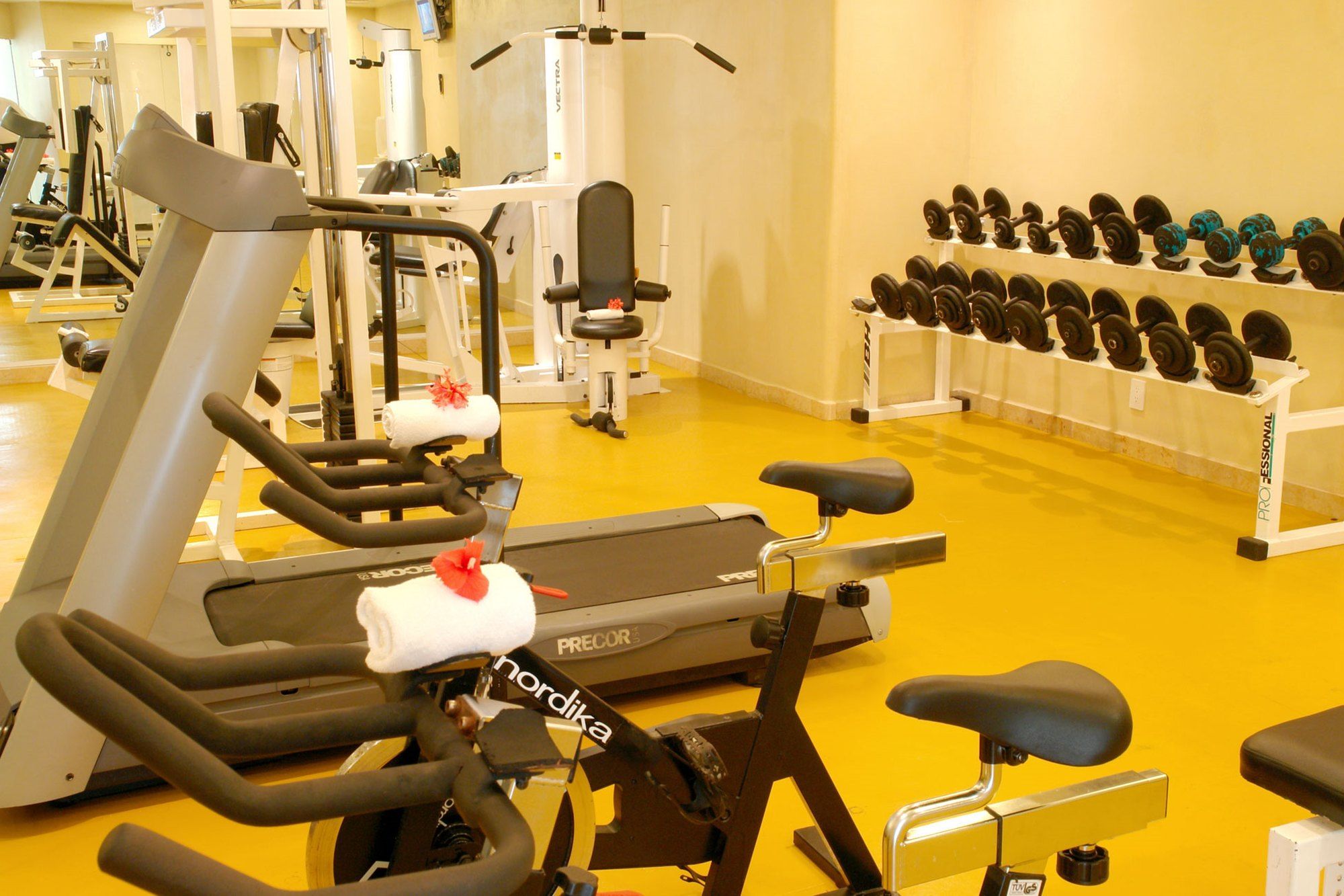 Emporio Ixtapa - with Optional All Inclusive