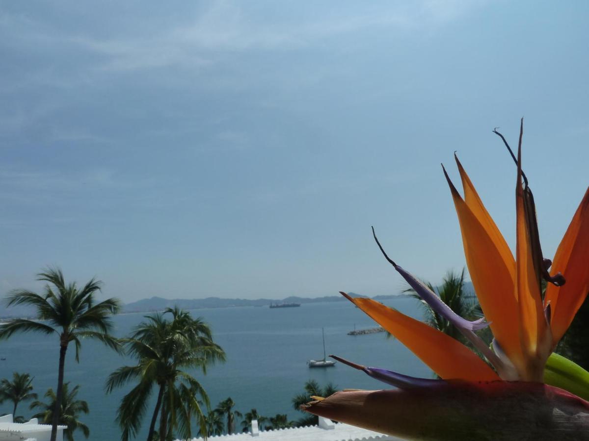 Dolphin Cove Inn