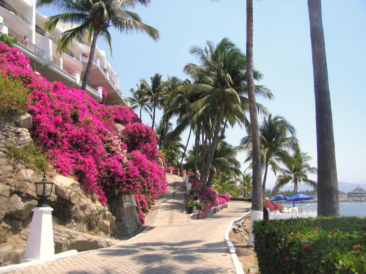 Dolphin Cove Inn