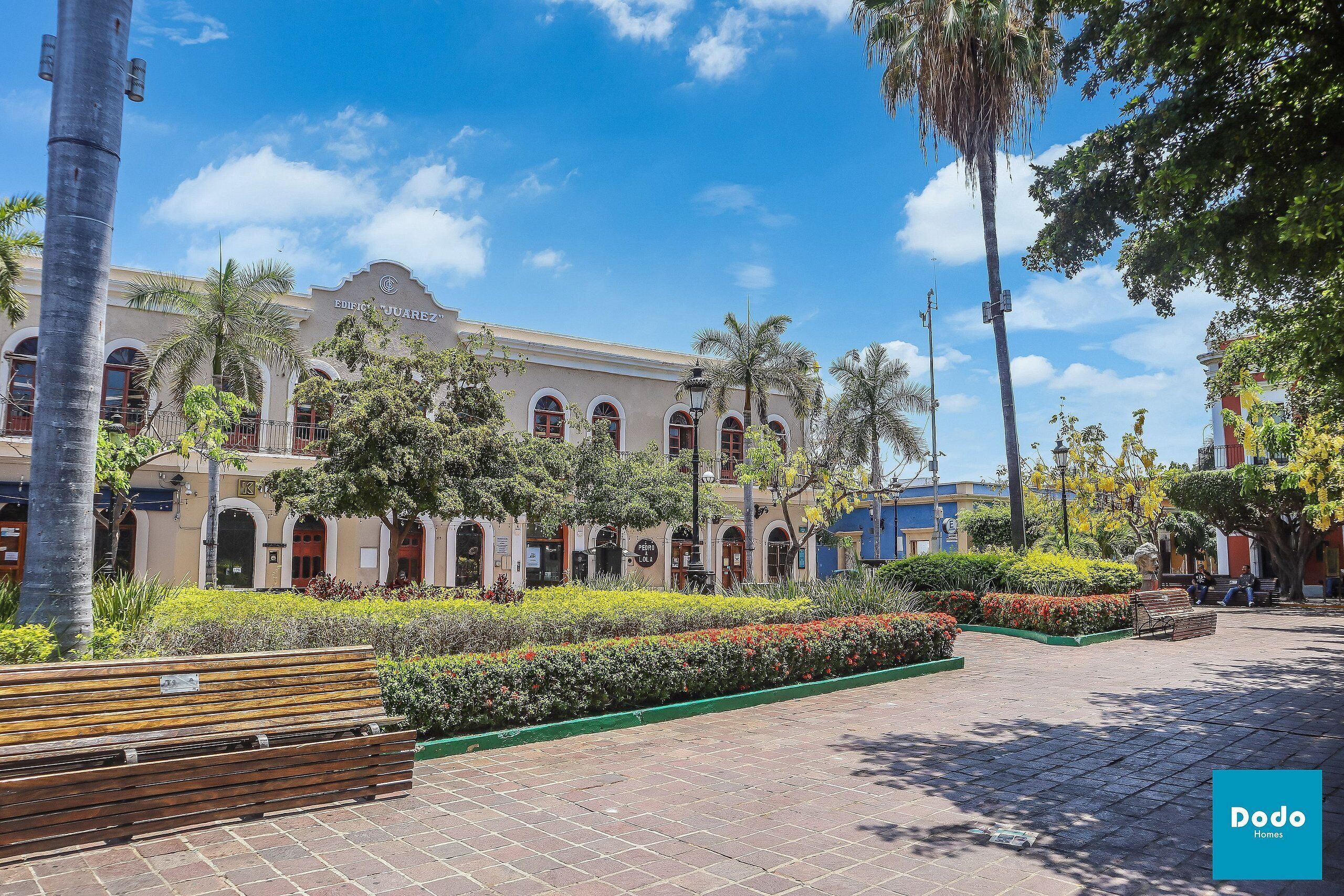 Dodo Plaza Machado