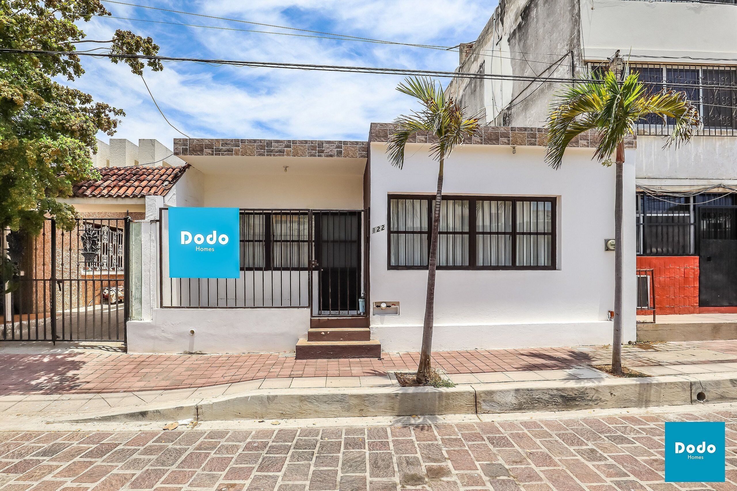 Dodo Plaza Machado