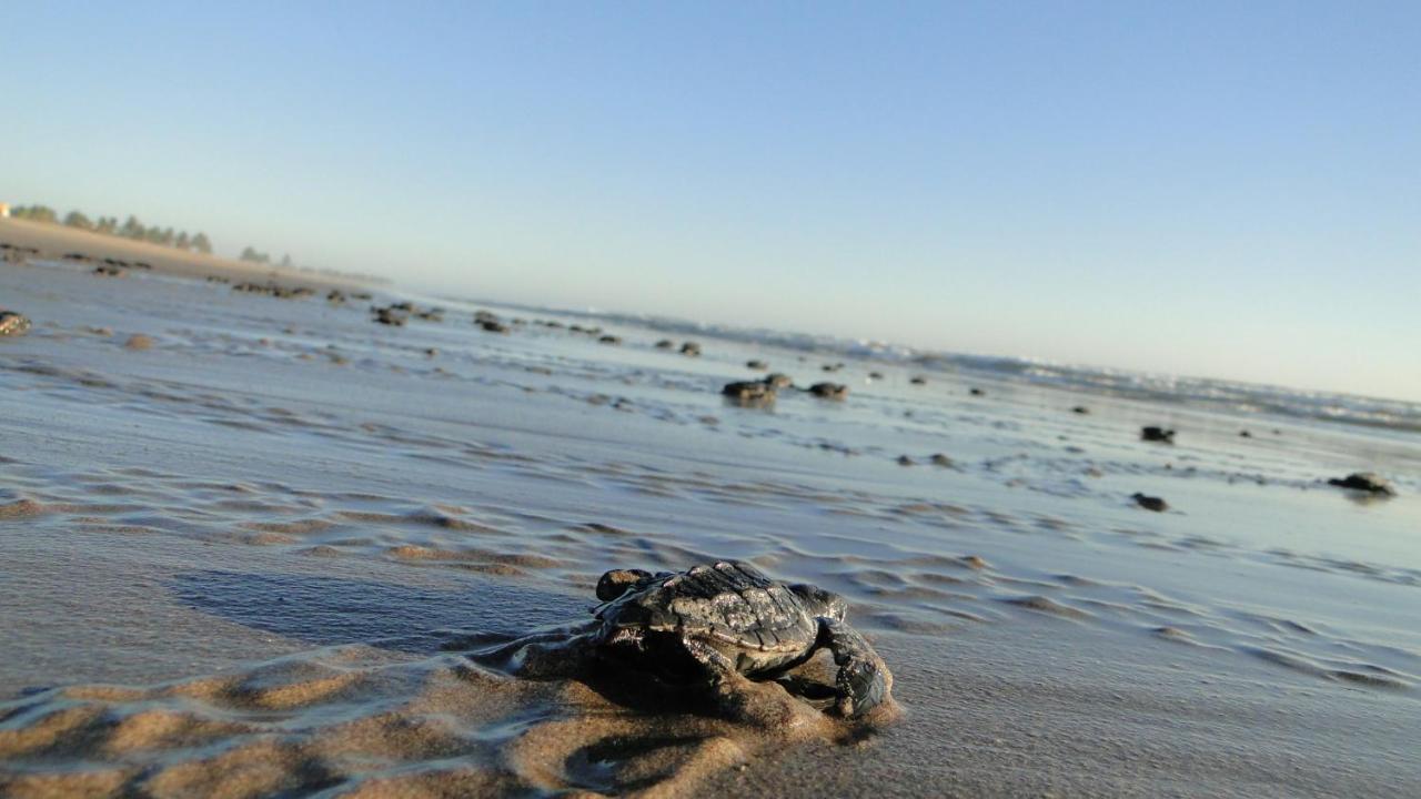 Las Villas Hotel & Golf by Estrella del Mar