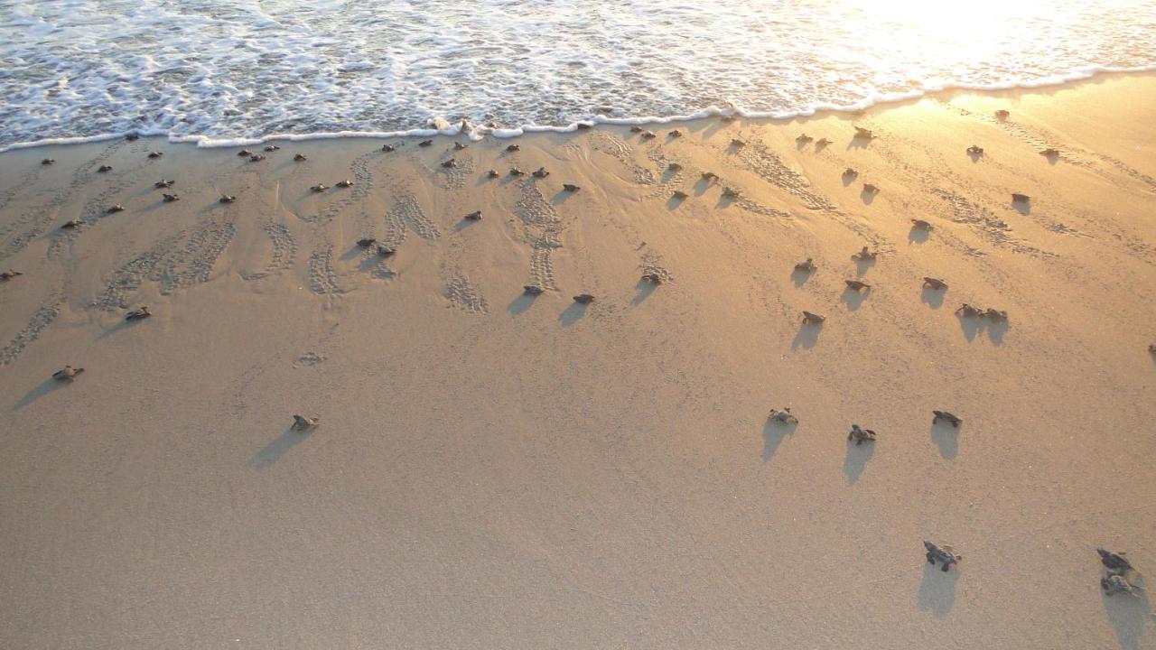 Las Villas Hotel & Golf by Estrella del Mar