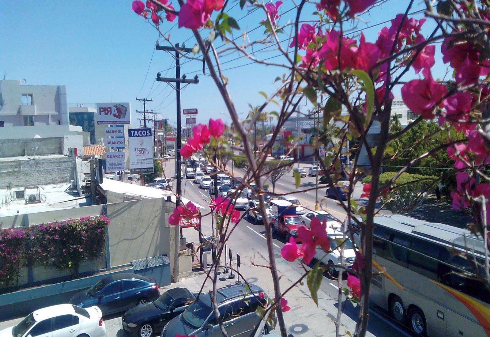 Mazatlan