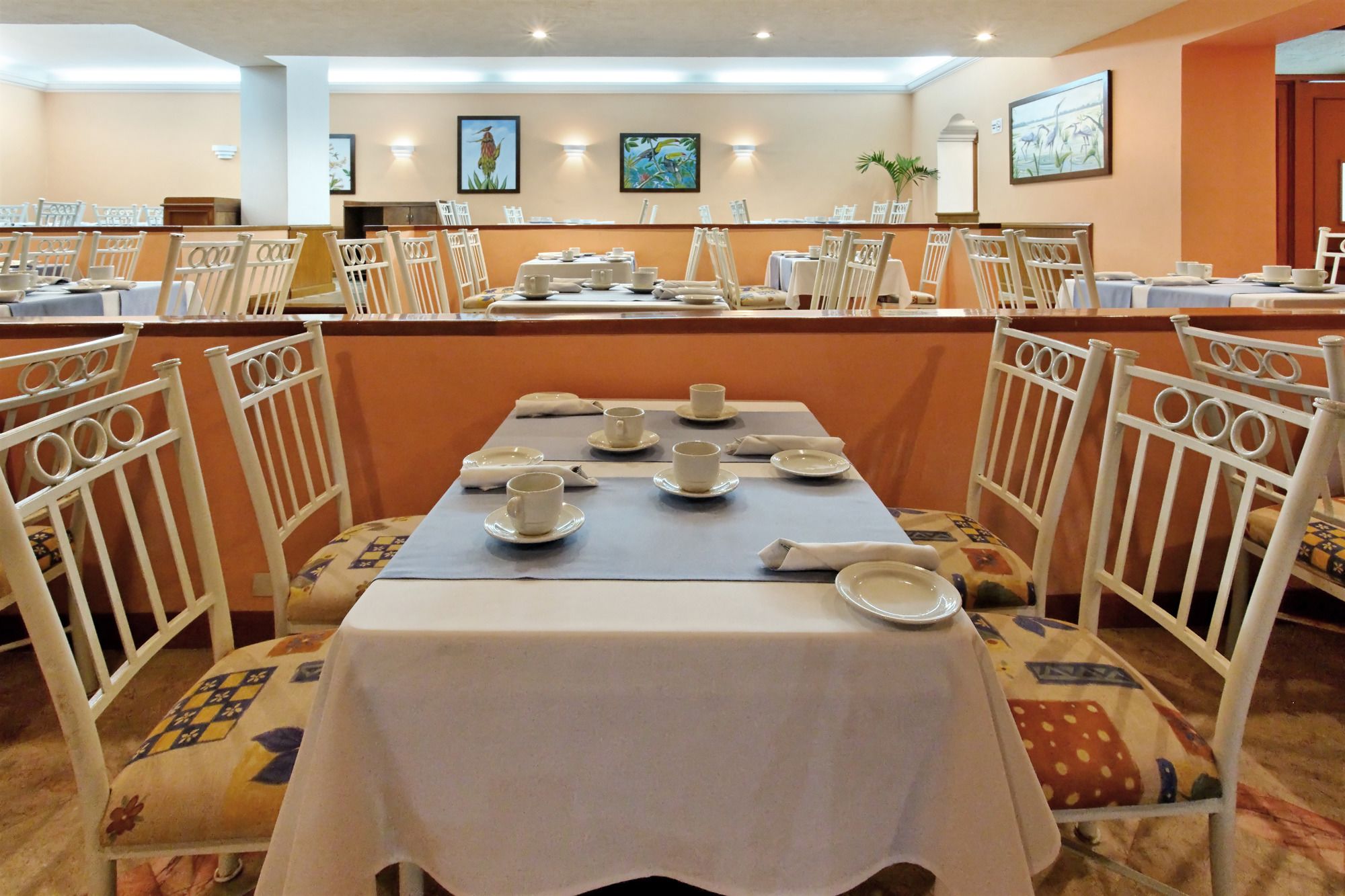 The Palms Resort Of Mazatlan