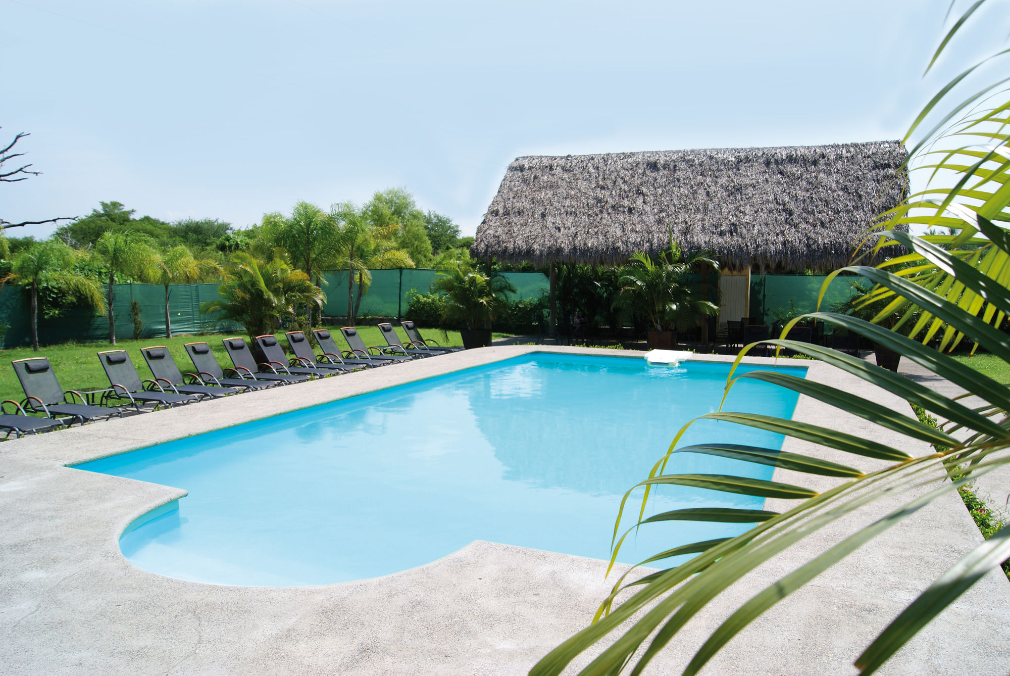 Hotel Las Palomas Vallarta