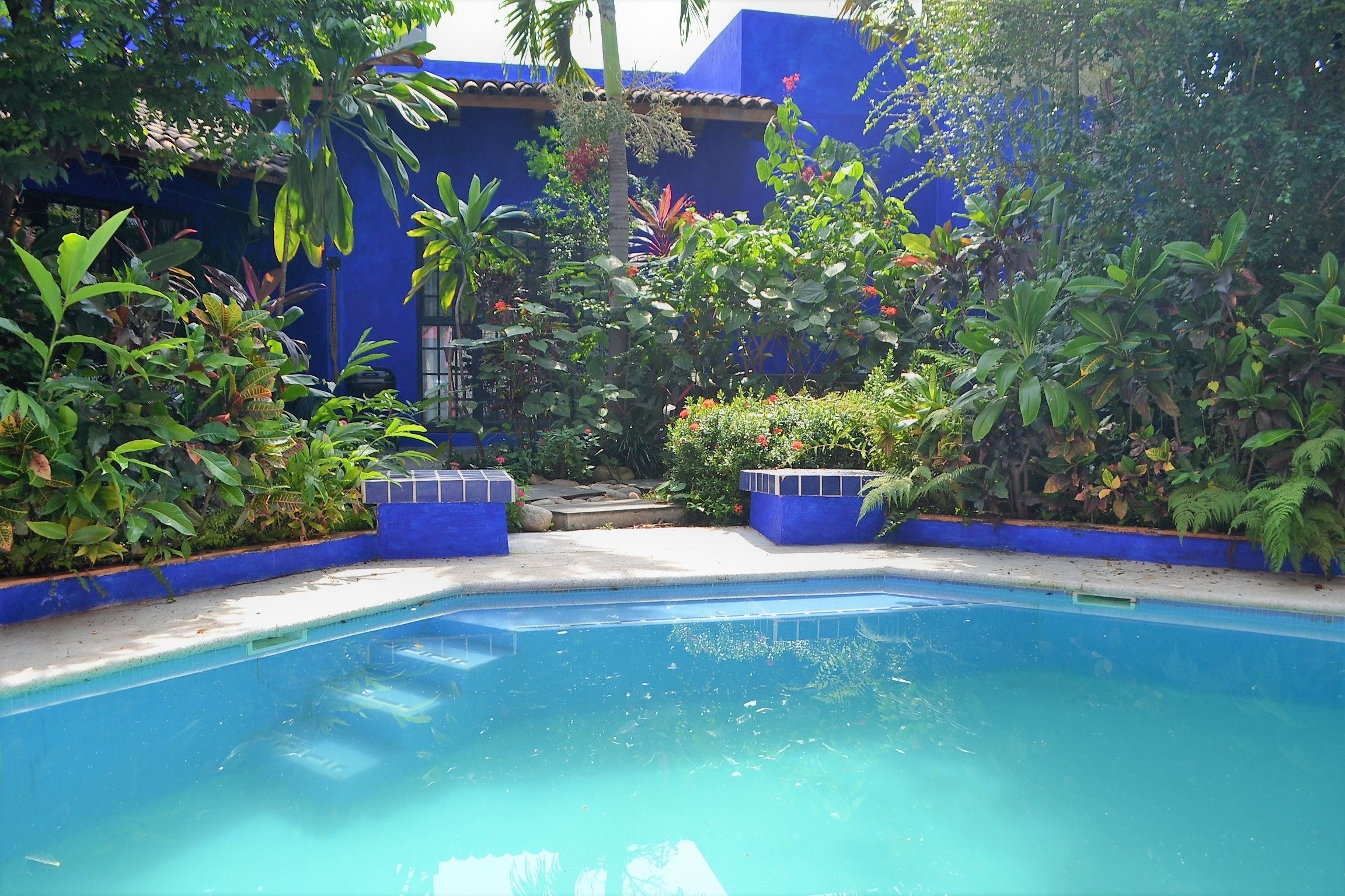 Casa Azul by MDR
