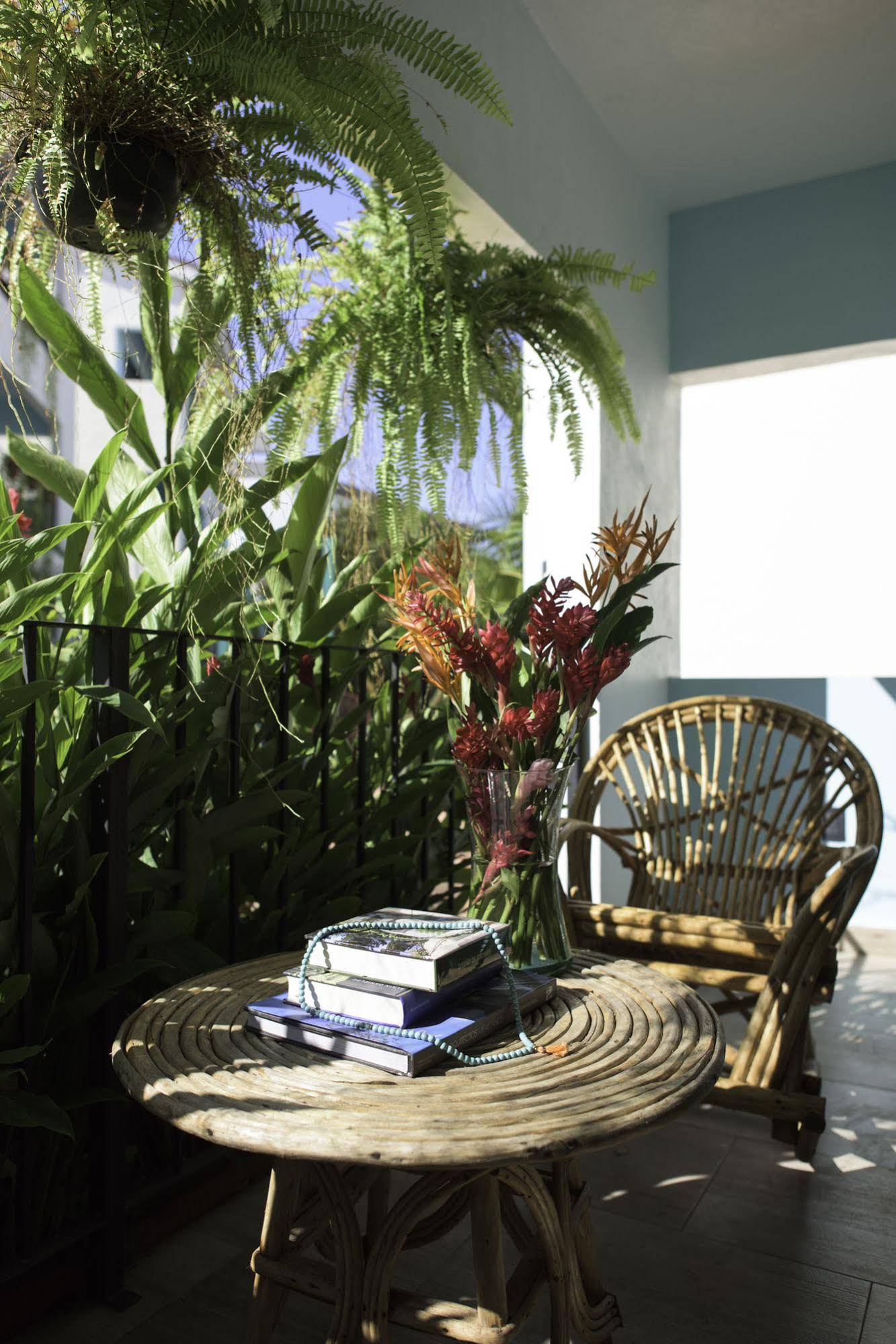 San Trópico Petit Hotel & Peaceful Escape