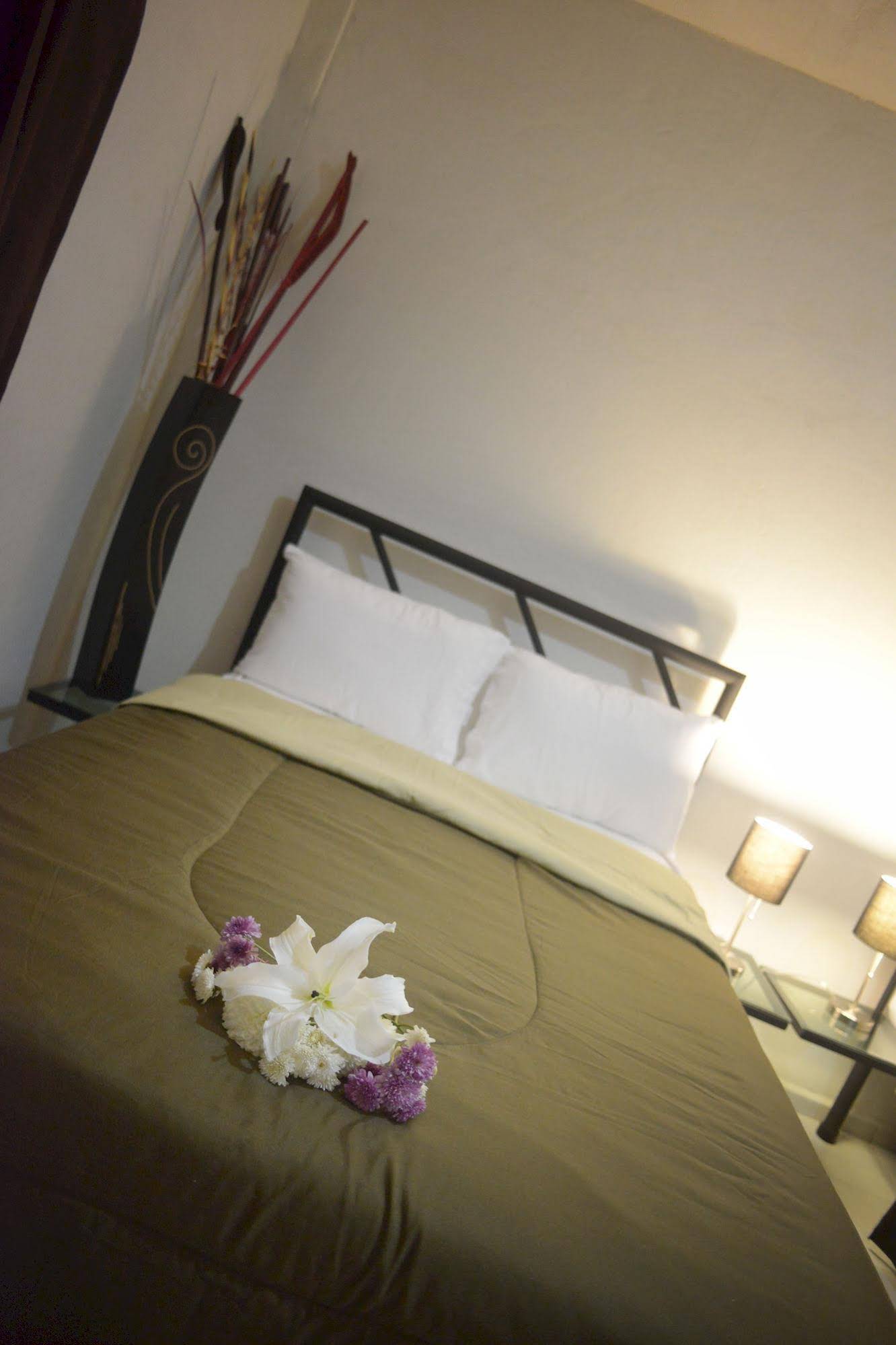 Hotel Plaza Providencia