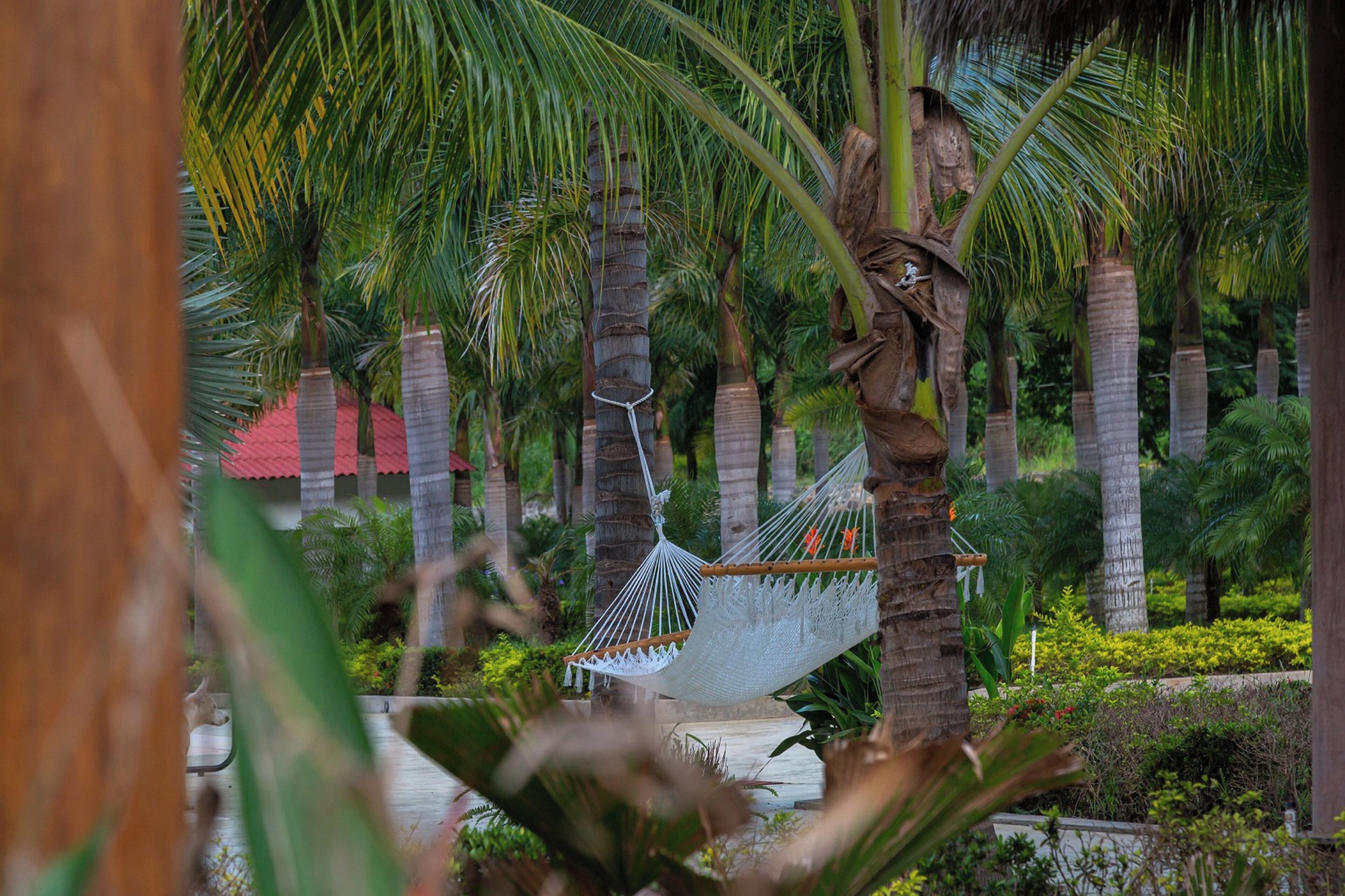 La Dulce Vista Hotel Boutique Sierra Madre Puerto Vallarta