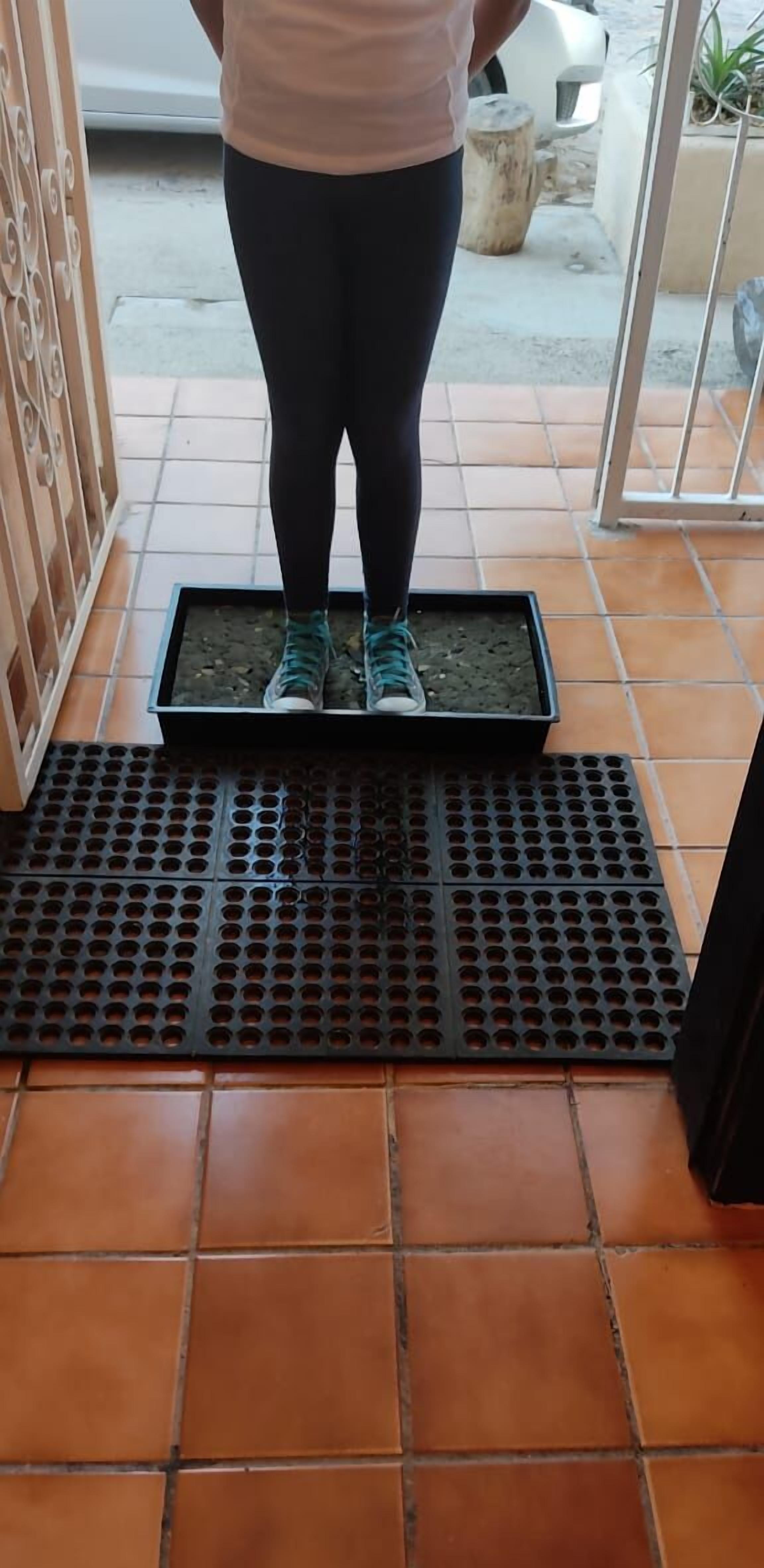 My Local Home Vallarta