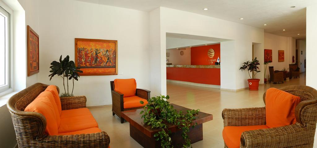 One Puerto Vallarta Aeropuerto
