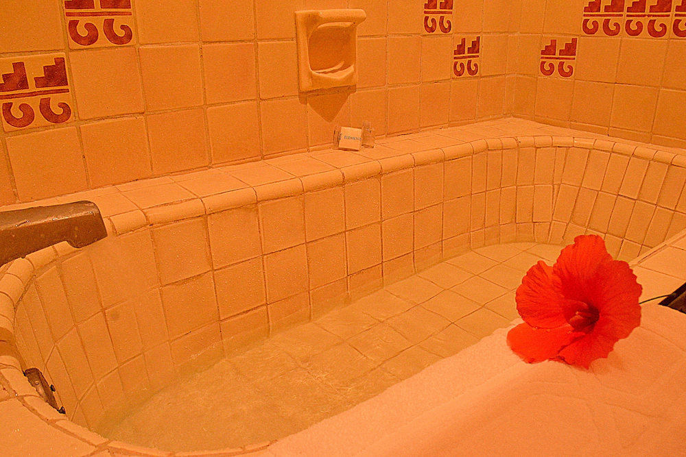 Park Royal Homestay Los Tules Puerto Vallarta
