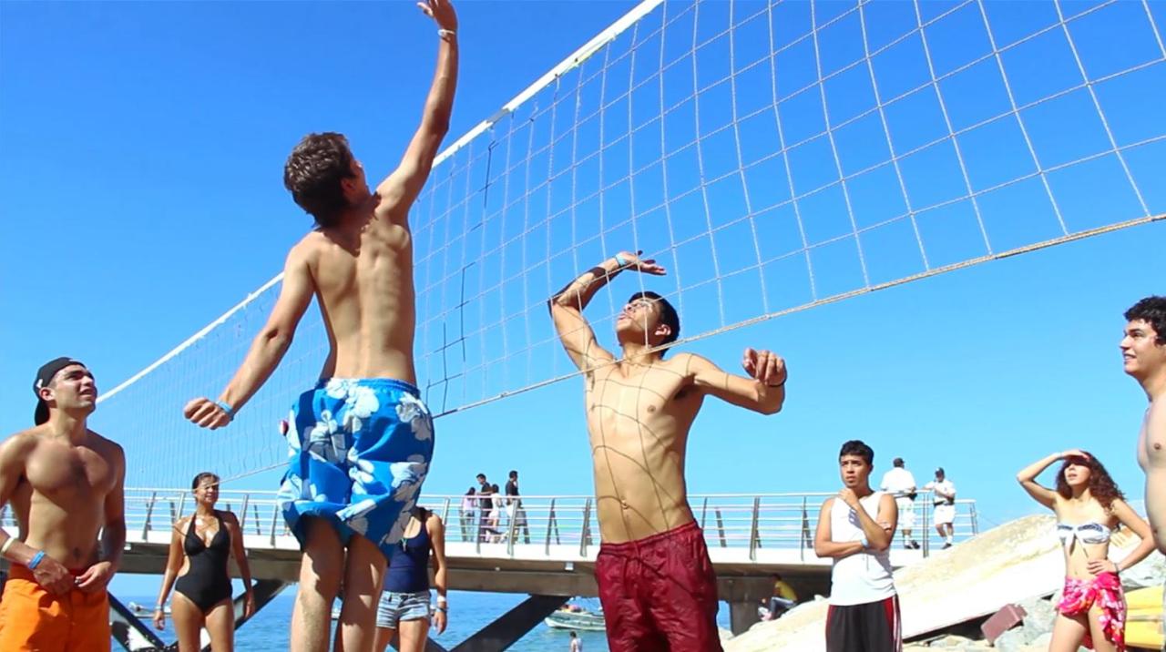 Delfin PV Beach Resort