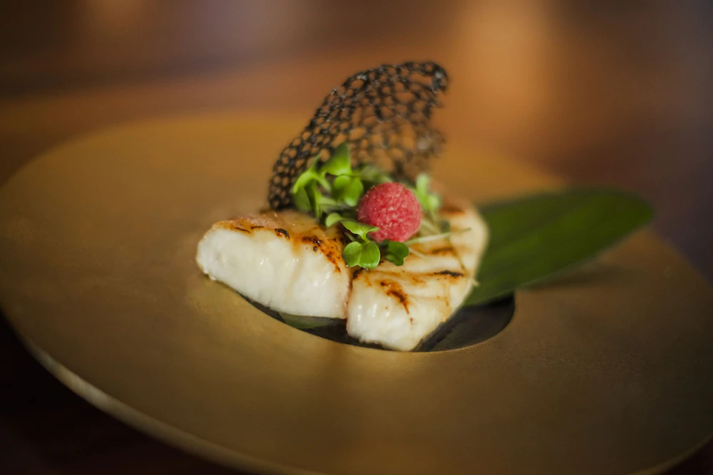 The Club at Sheraton Buganvilias