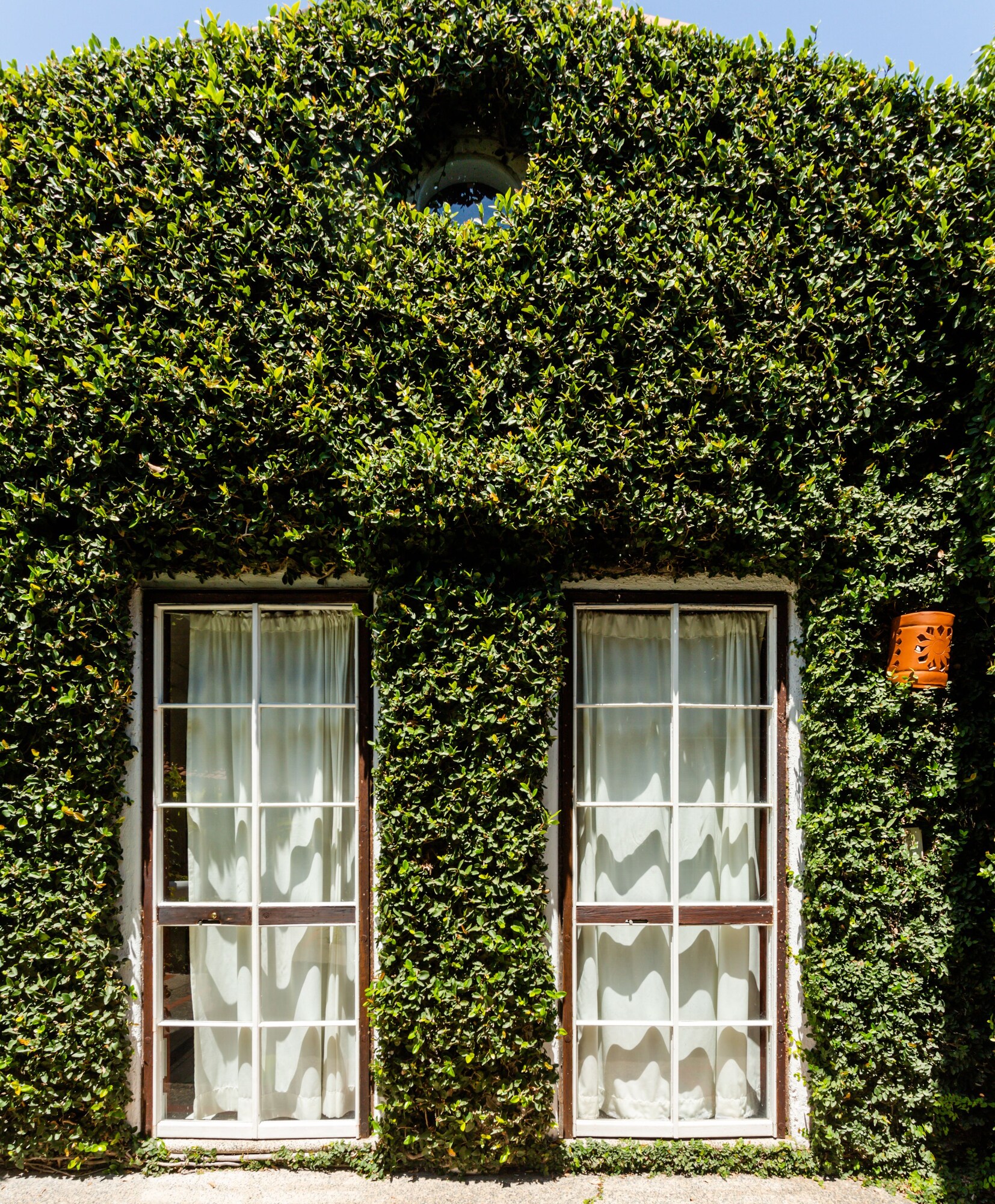 The Green House
