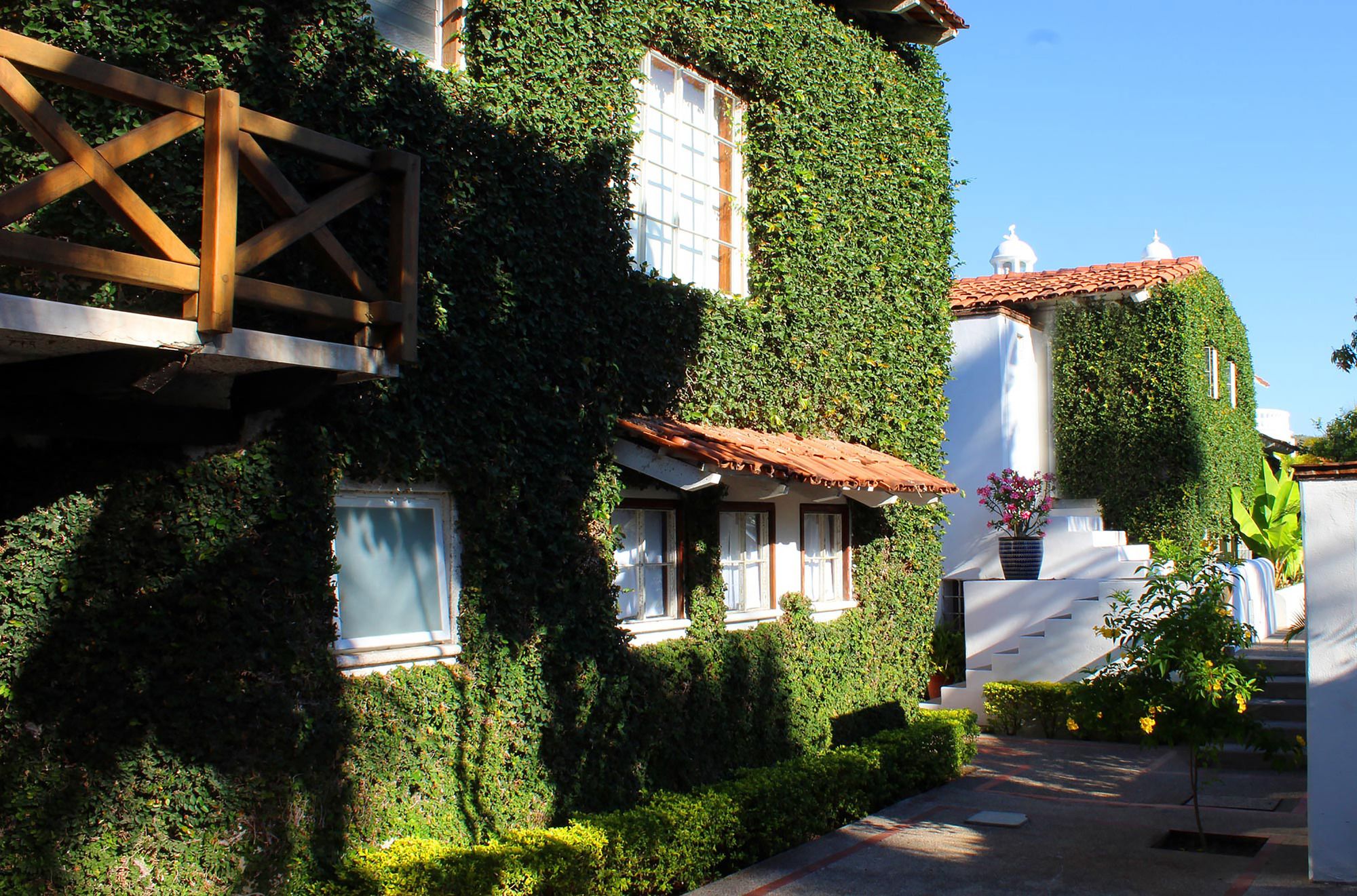 The Green House