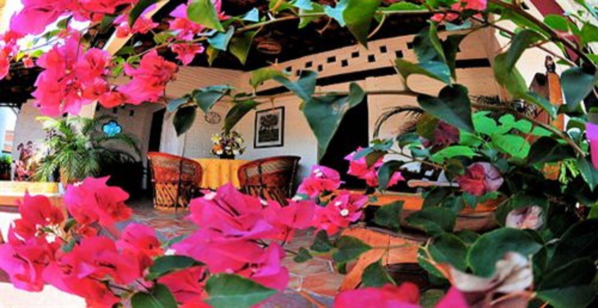 Tradicional Villa del Mar