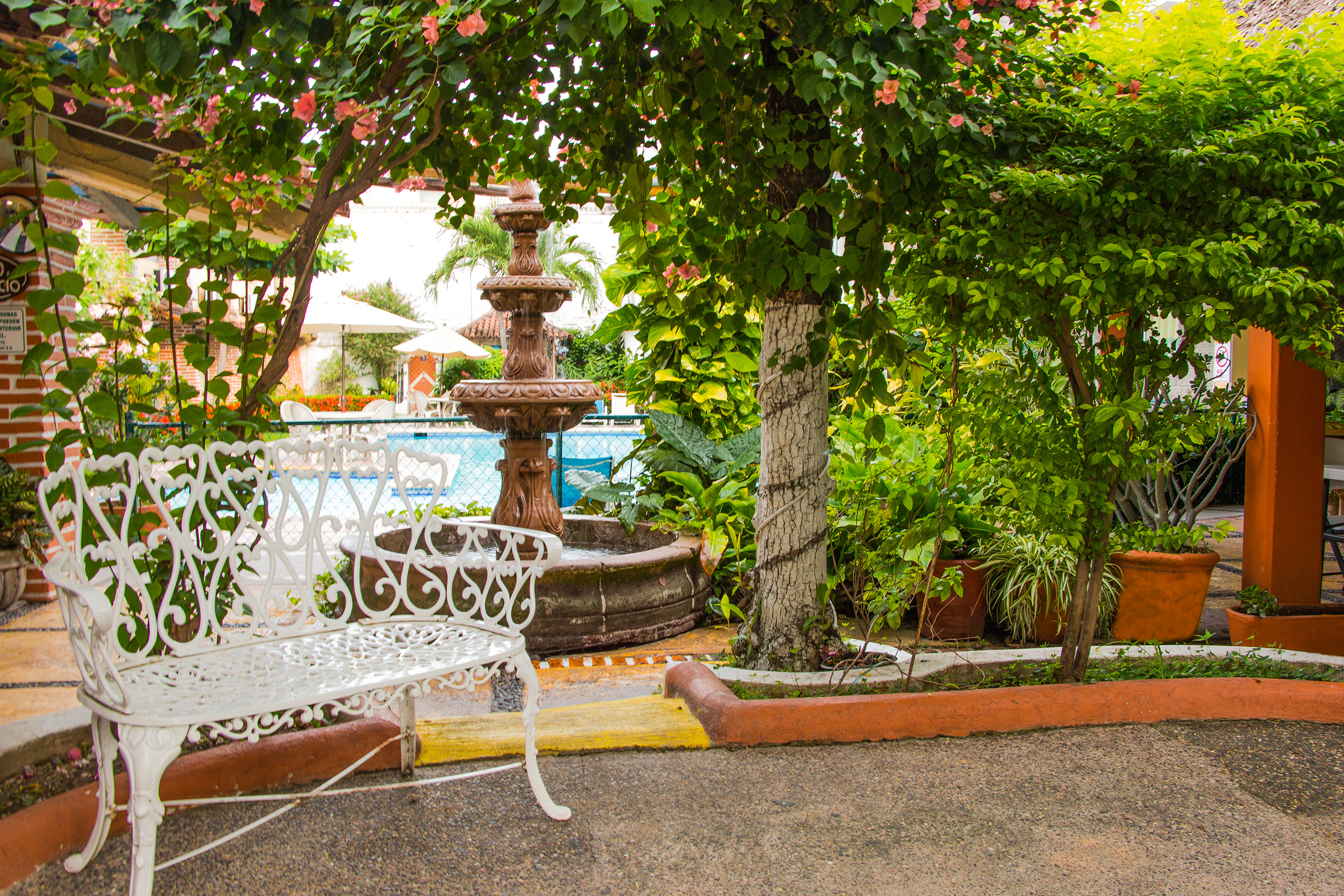 Vallarta Sol