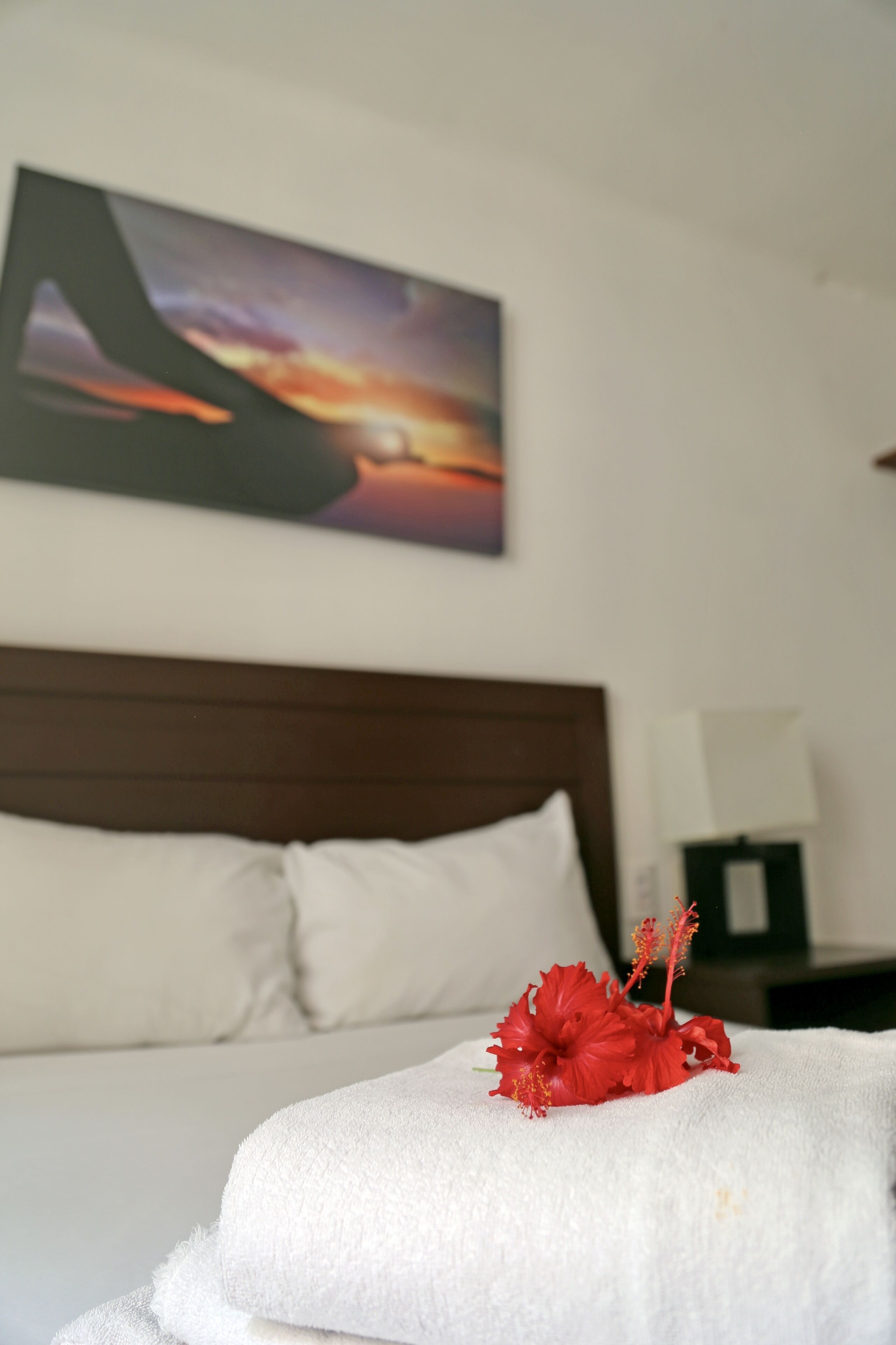 Zenharmony Suites