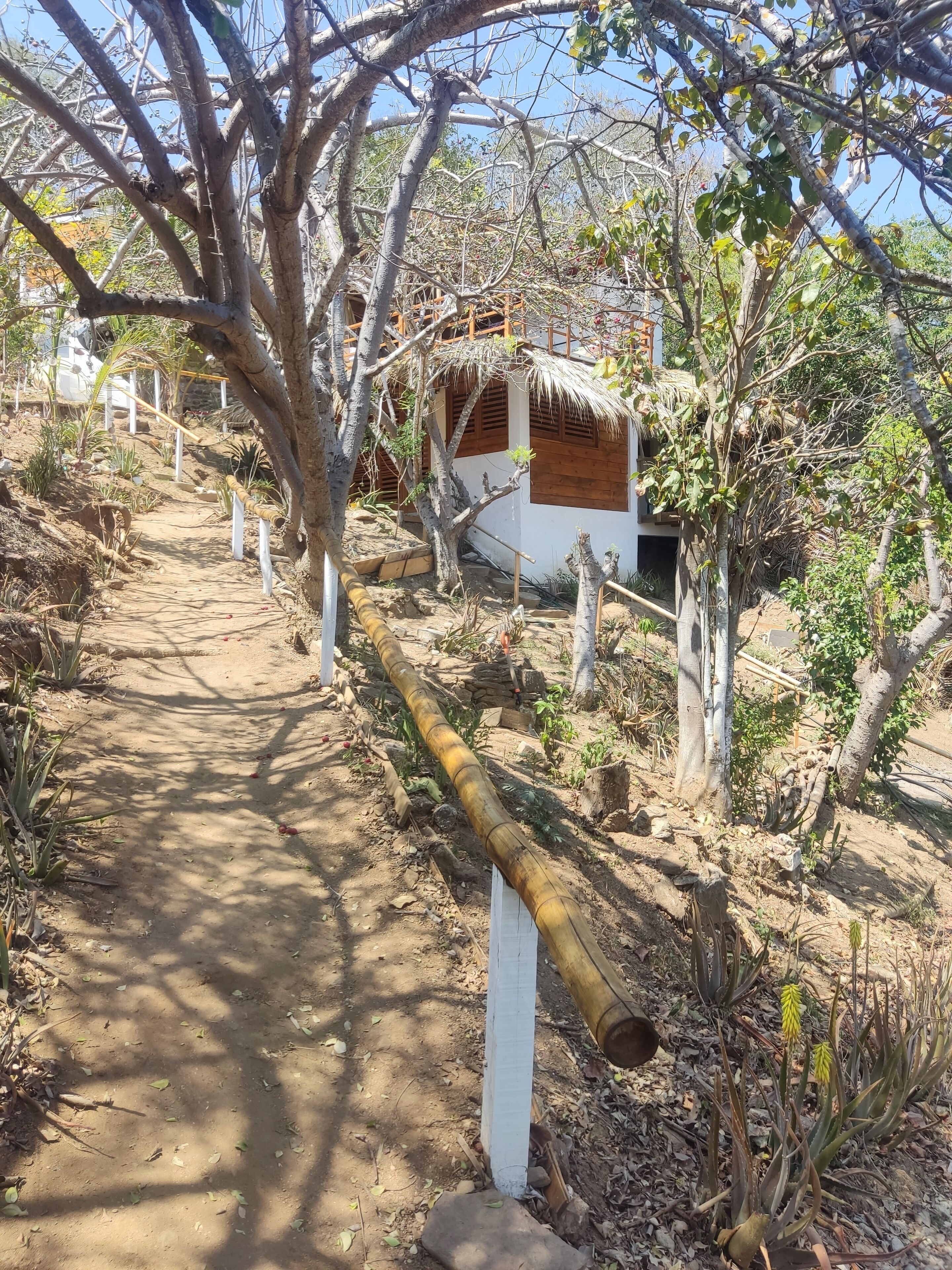 Mixtli Ecohouse
