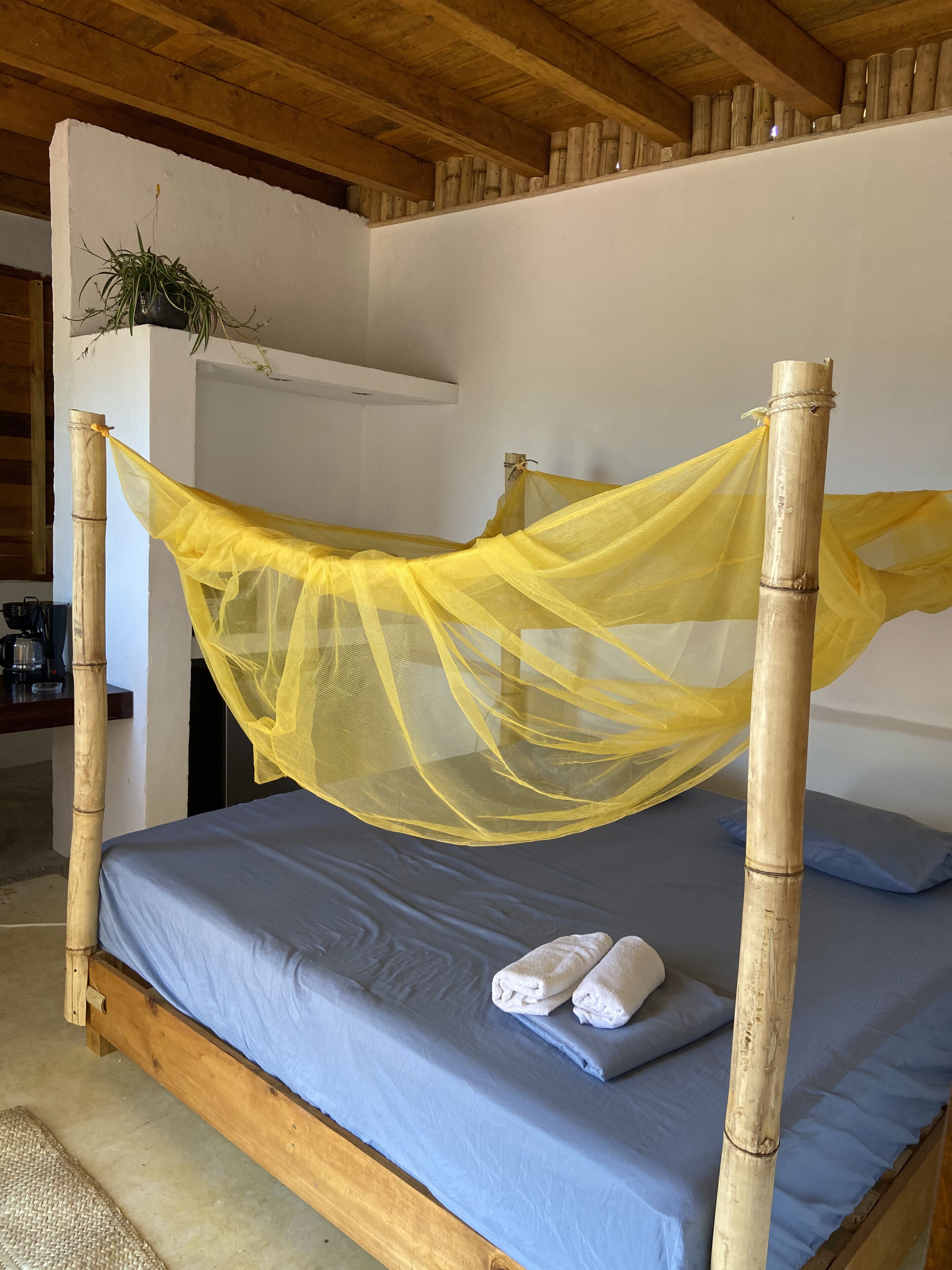 Mixtli Ecohouse