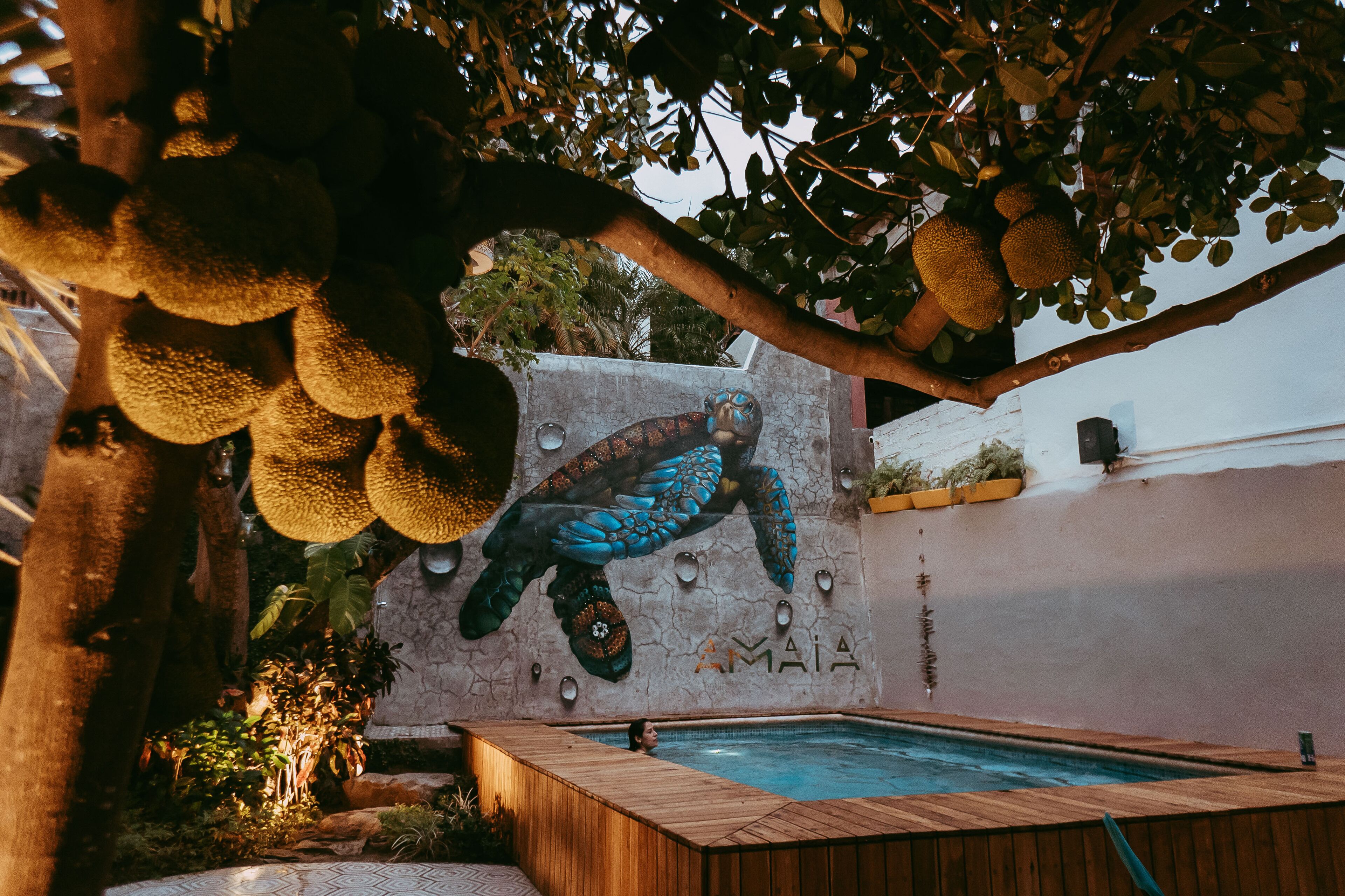 Amaia Sayulita Boutique Hotel