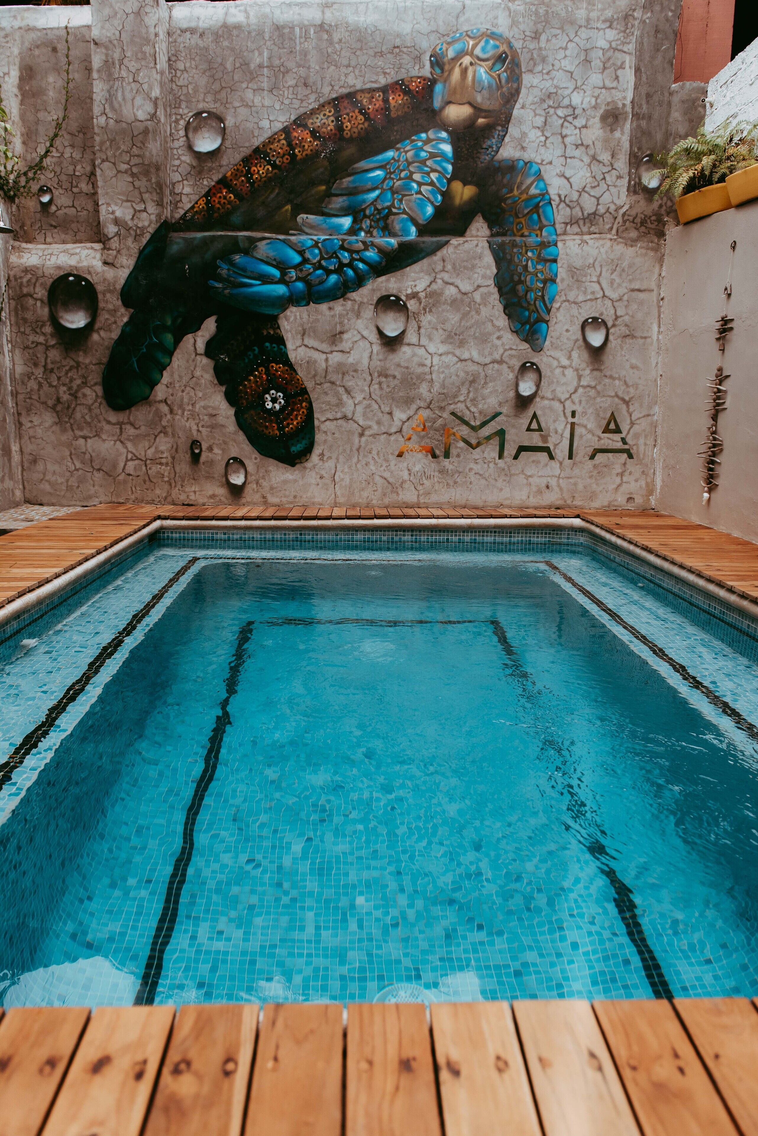 Amaia Sayulita Boutique Hotel