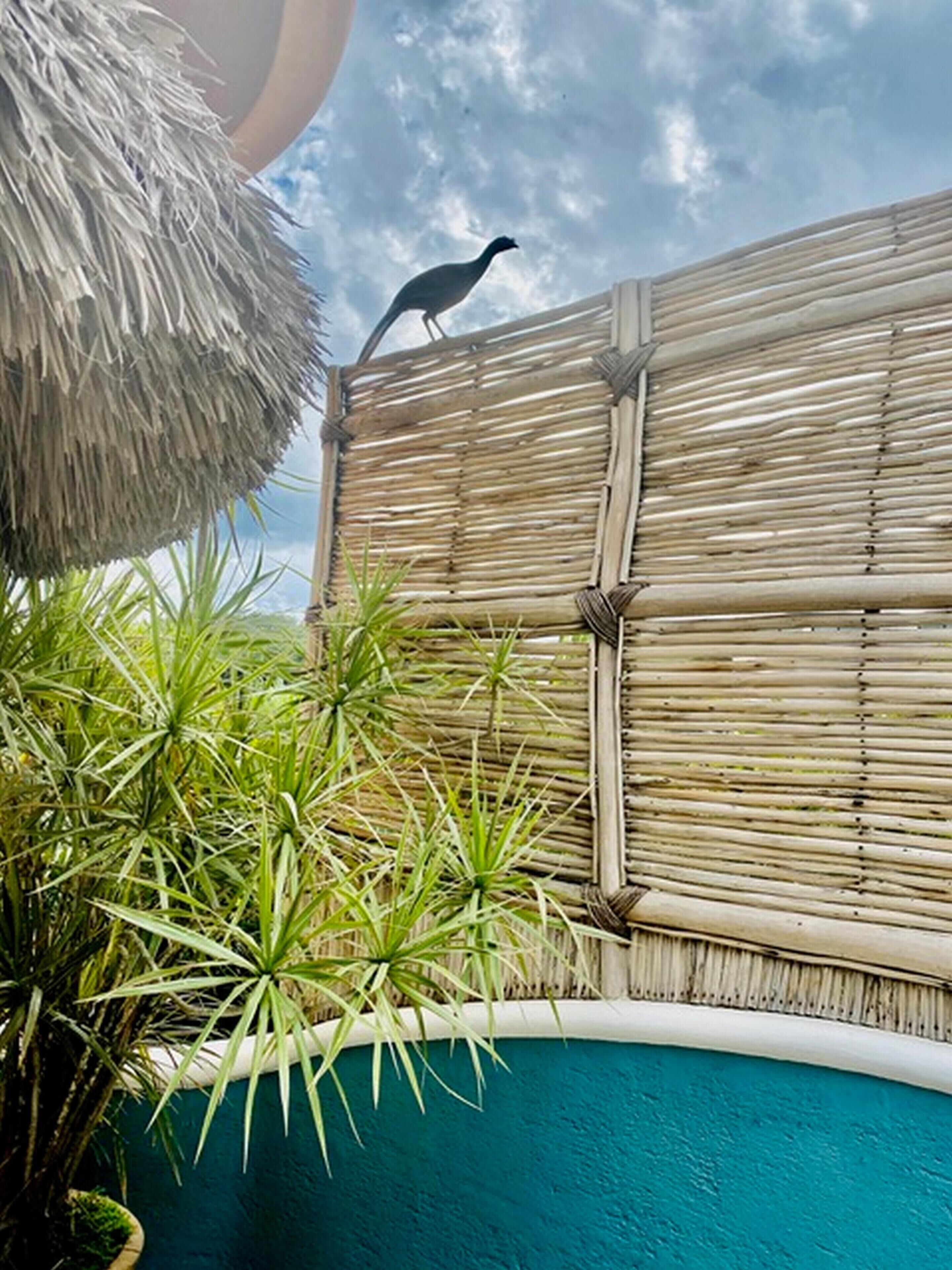Casita Cocoon 1BR by Casago