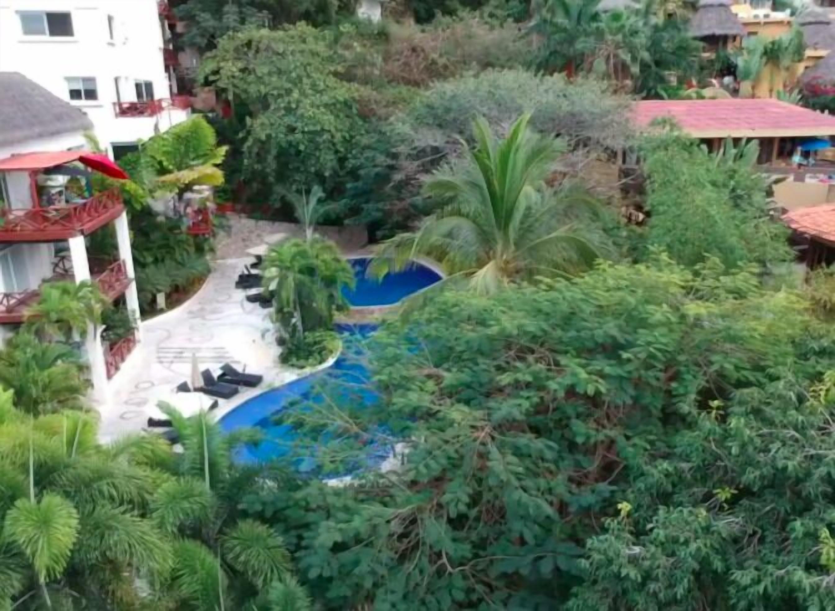 Pajaro De Fuego Pool & Terrace