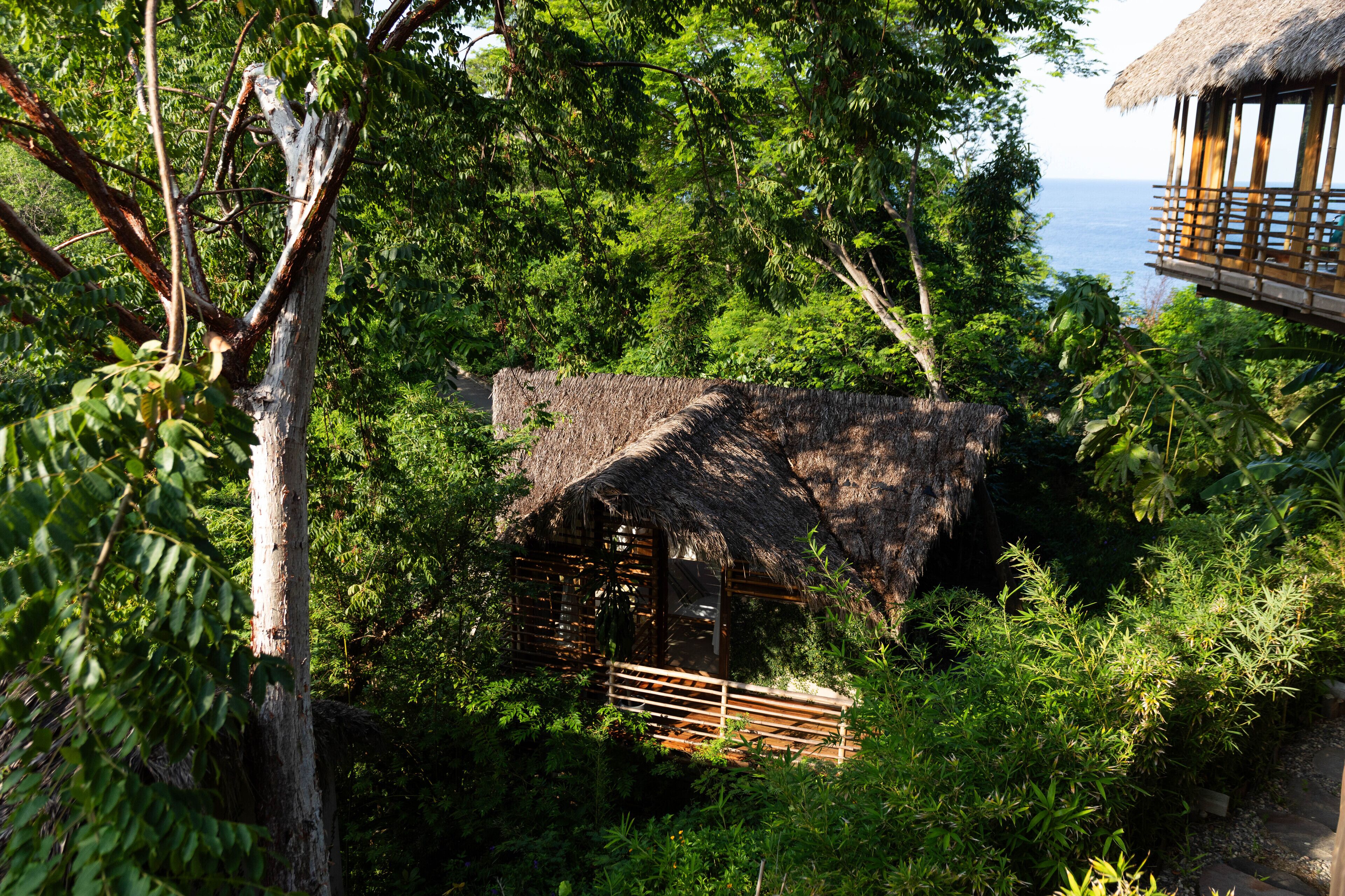 Tokipa at Punta Sayulita