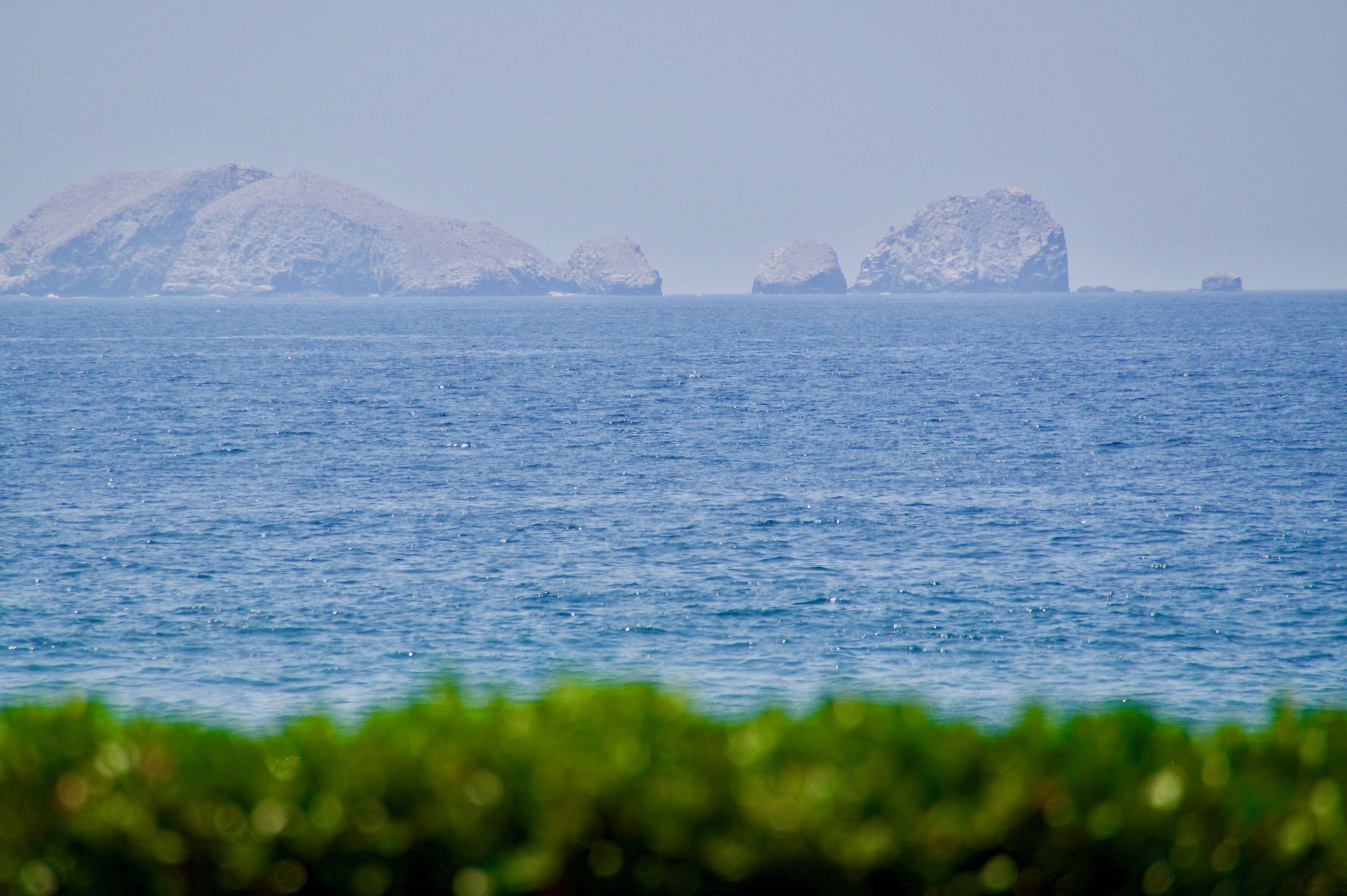 Residences Las Palmas