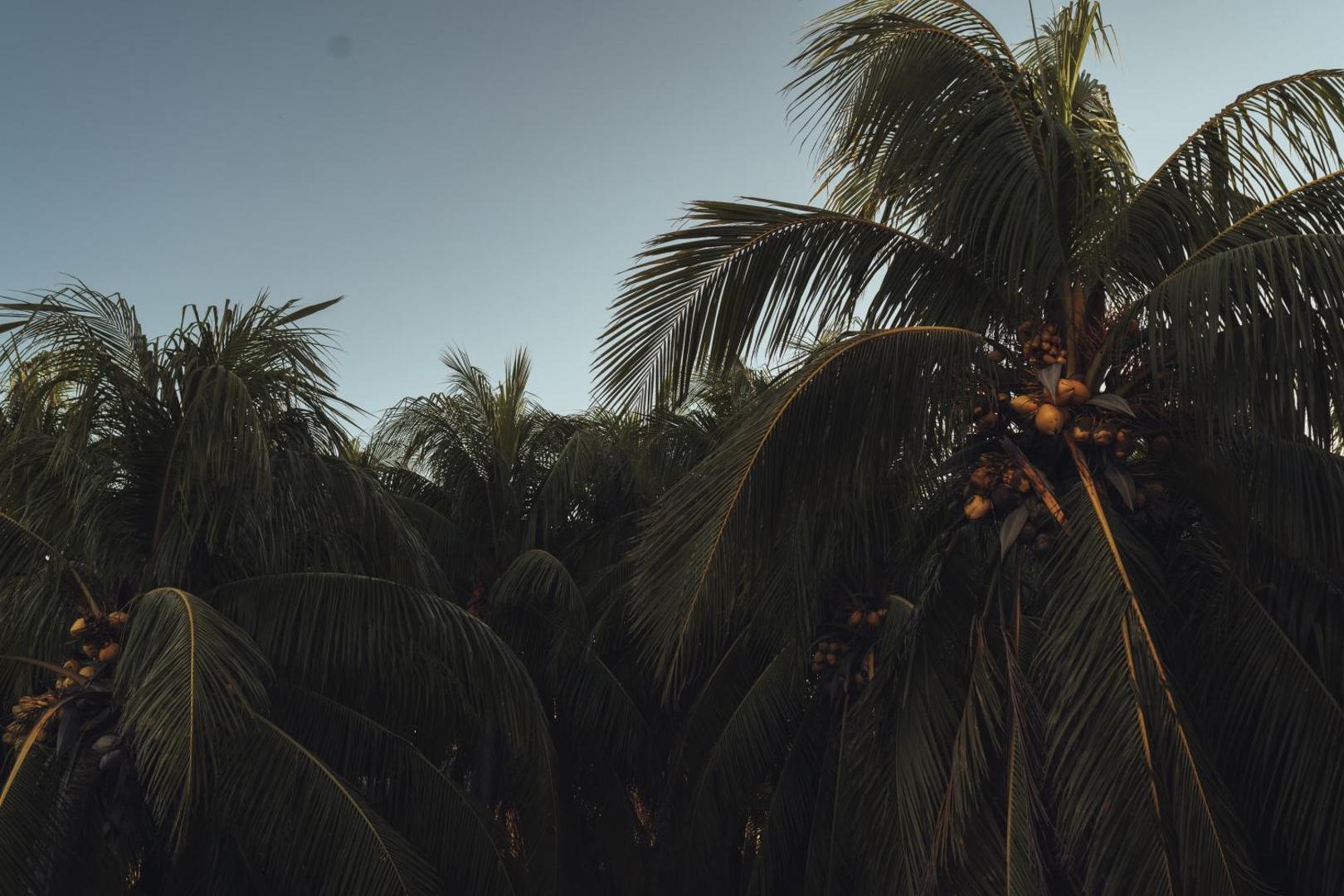 Casa Peregrino Holbox Hotel