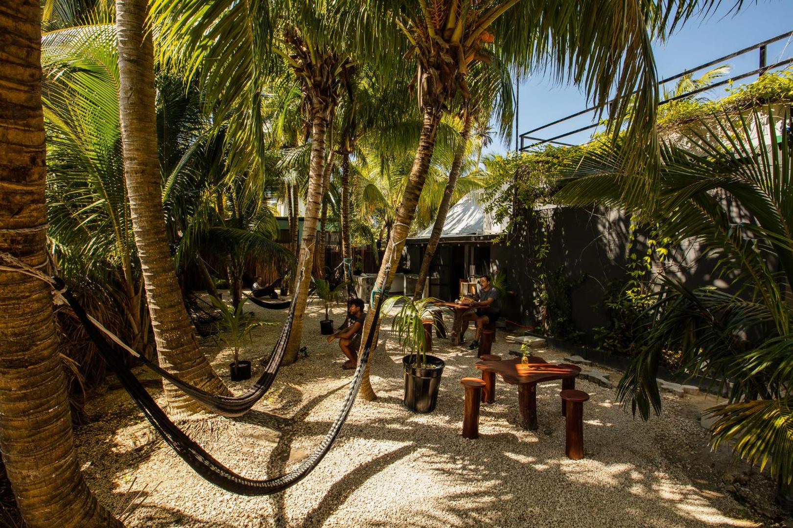 Hostel Che Holbox