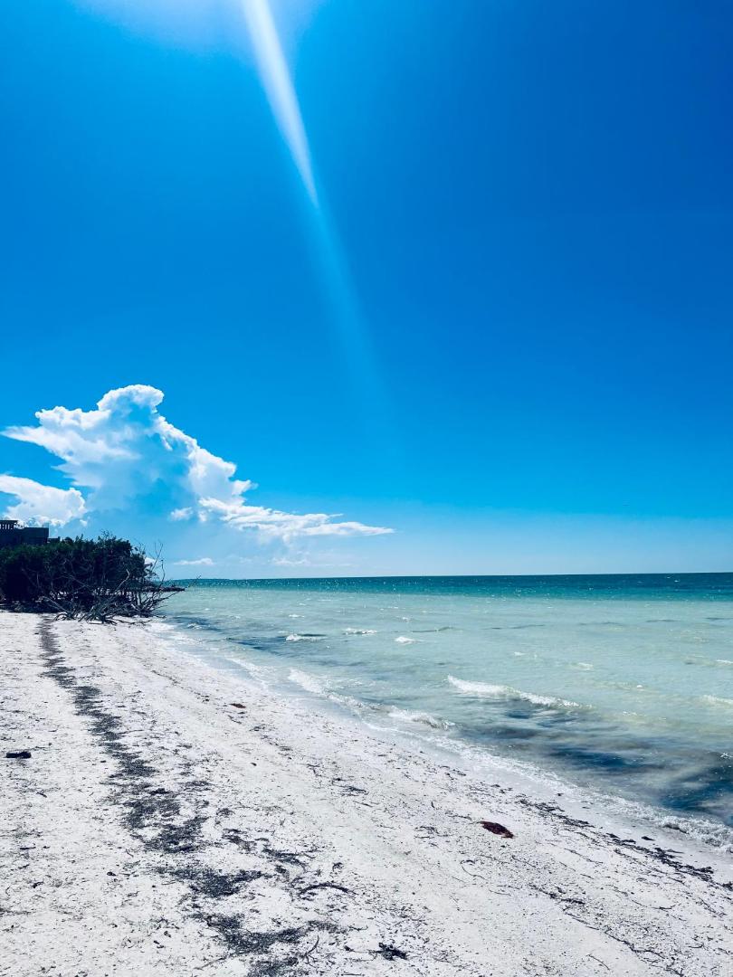 Kin Studios Holbox